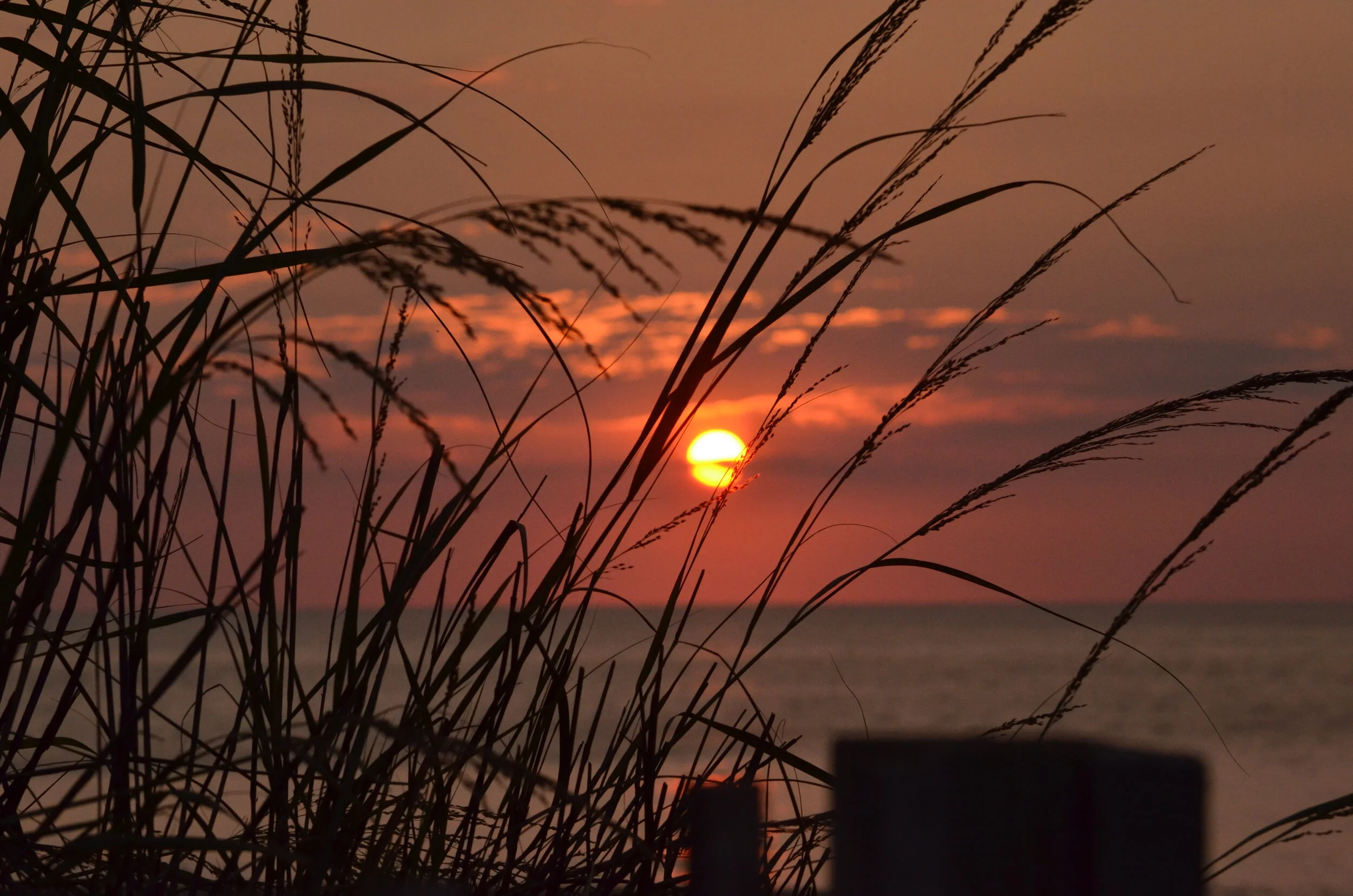 DSC_2700.JPG