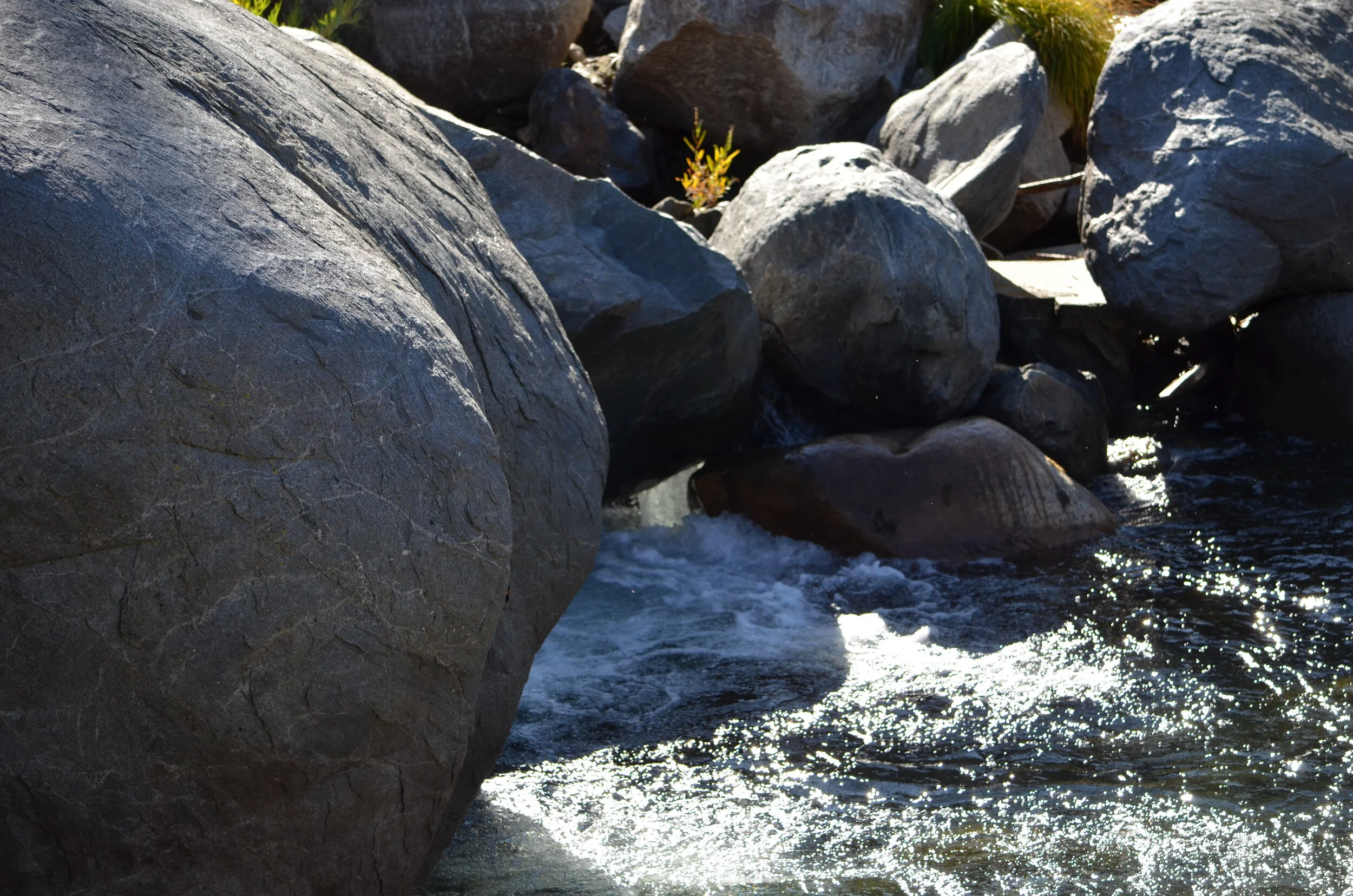 DSC_3215.JPG