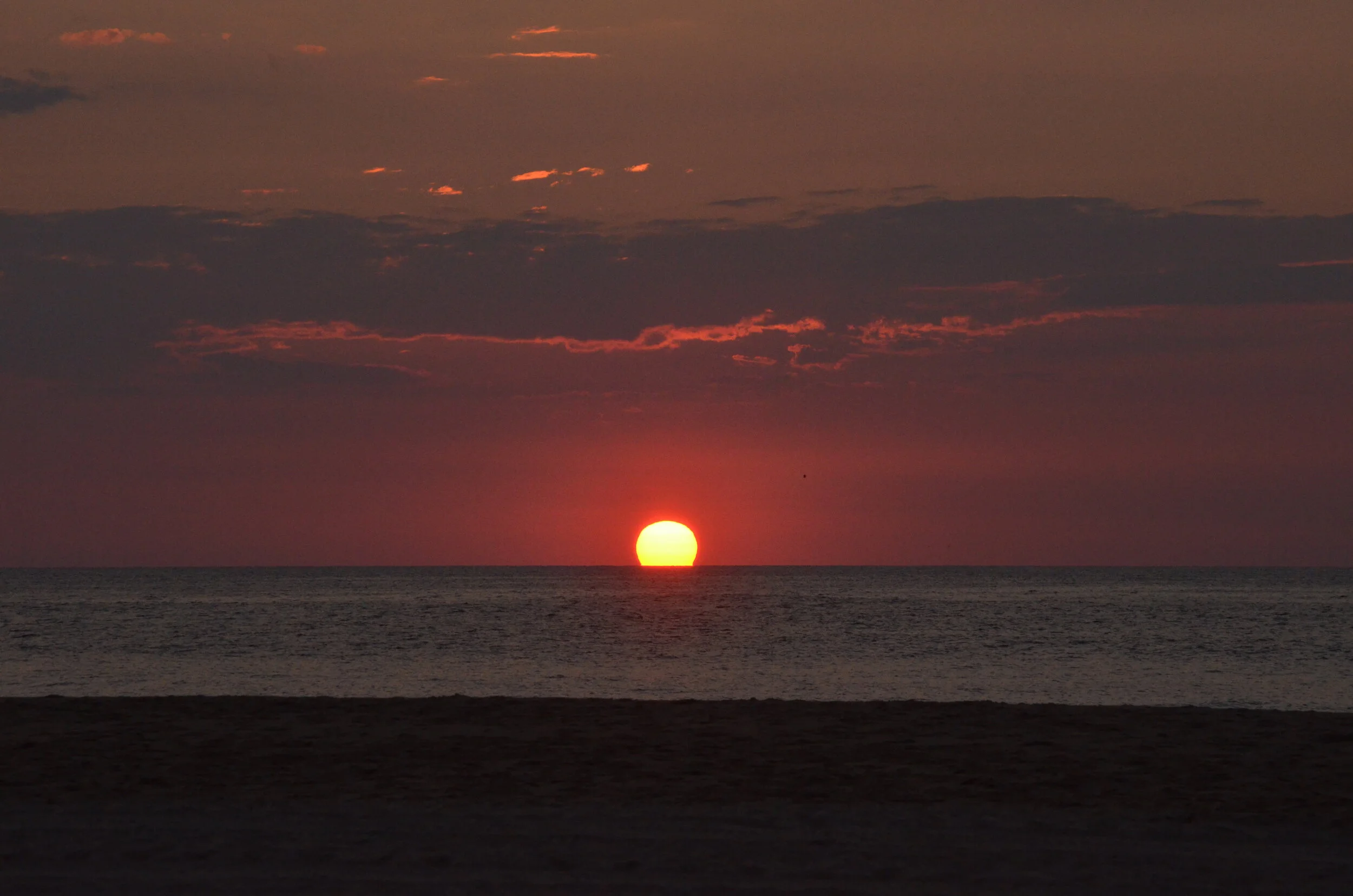 DSC_2691.JPG