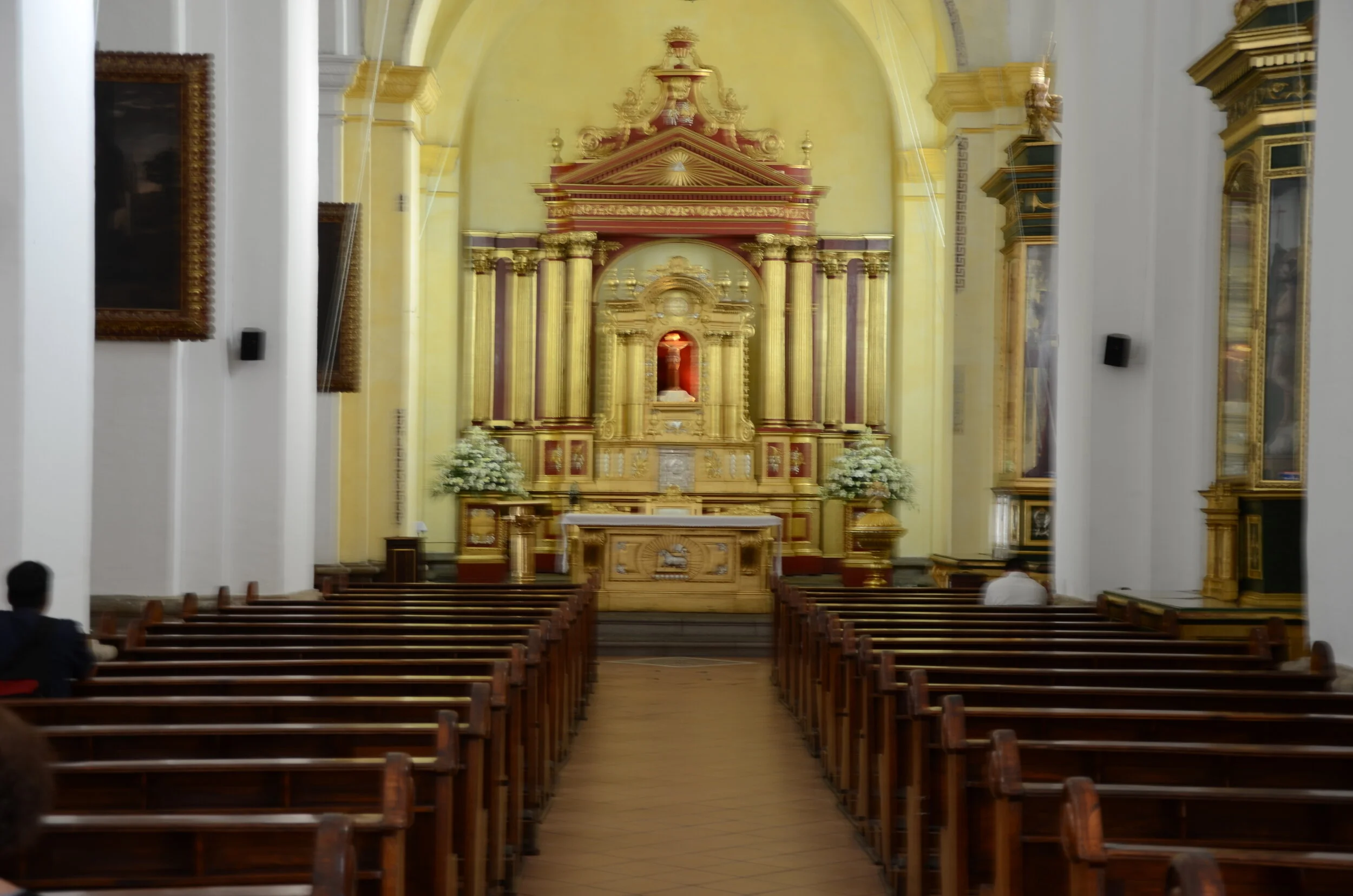 DSC_0514.JPG