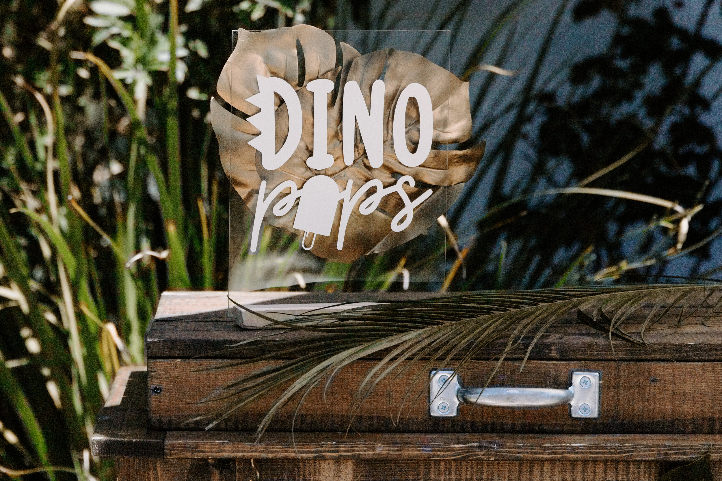 DinoSoul_Nisha'sPicks-82.jpg