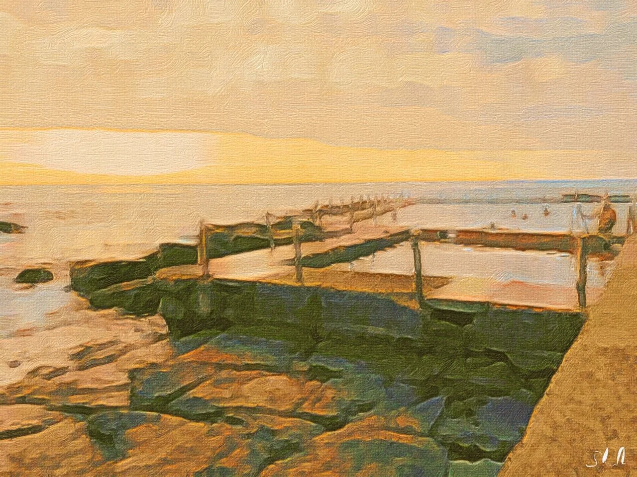 Early Morning Swim.JPG