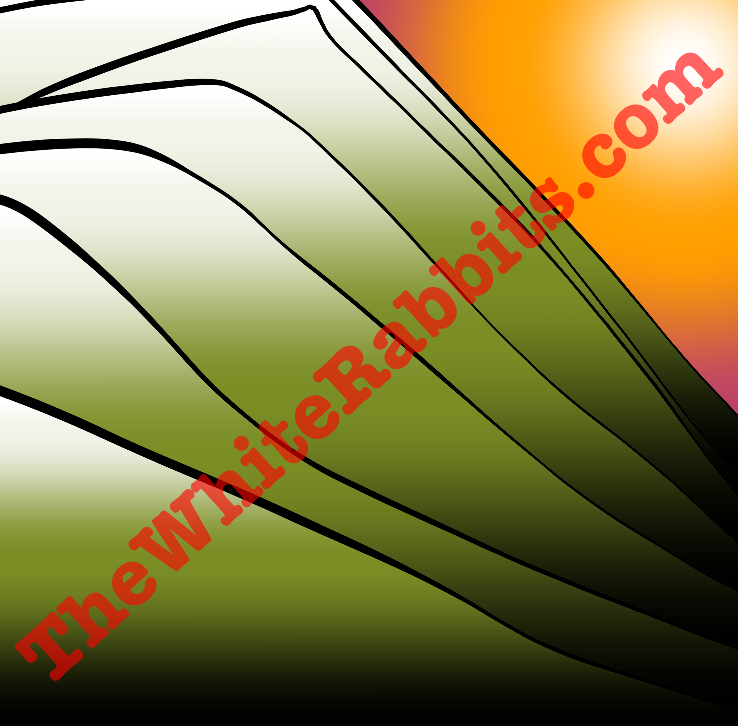 IMG_1428.png