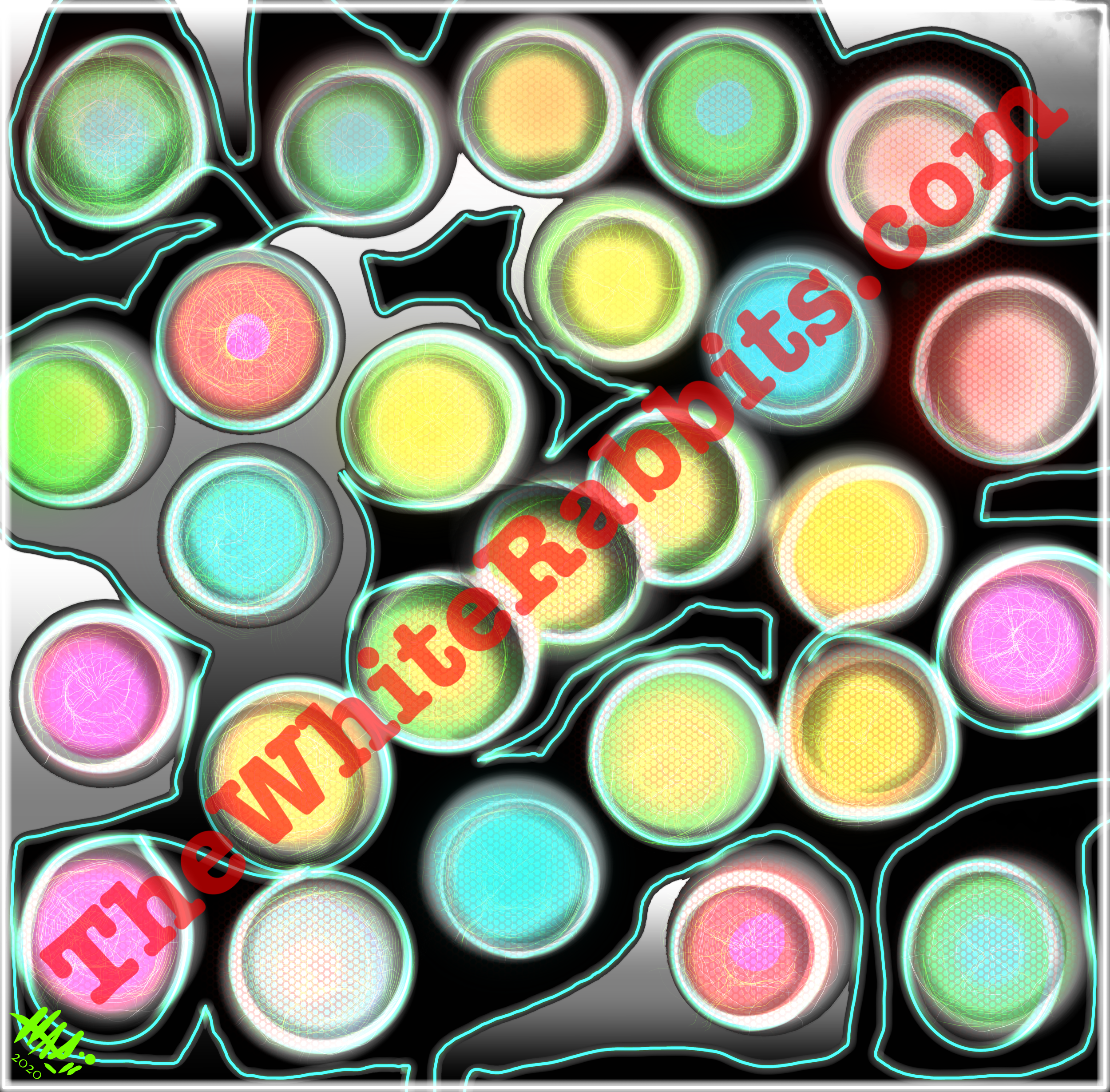 IMG_1425.png