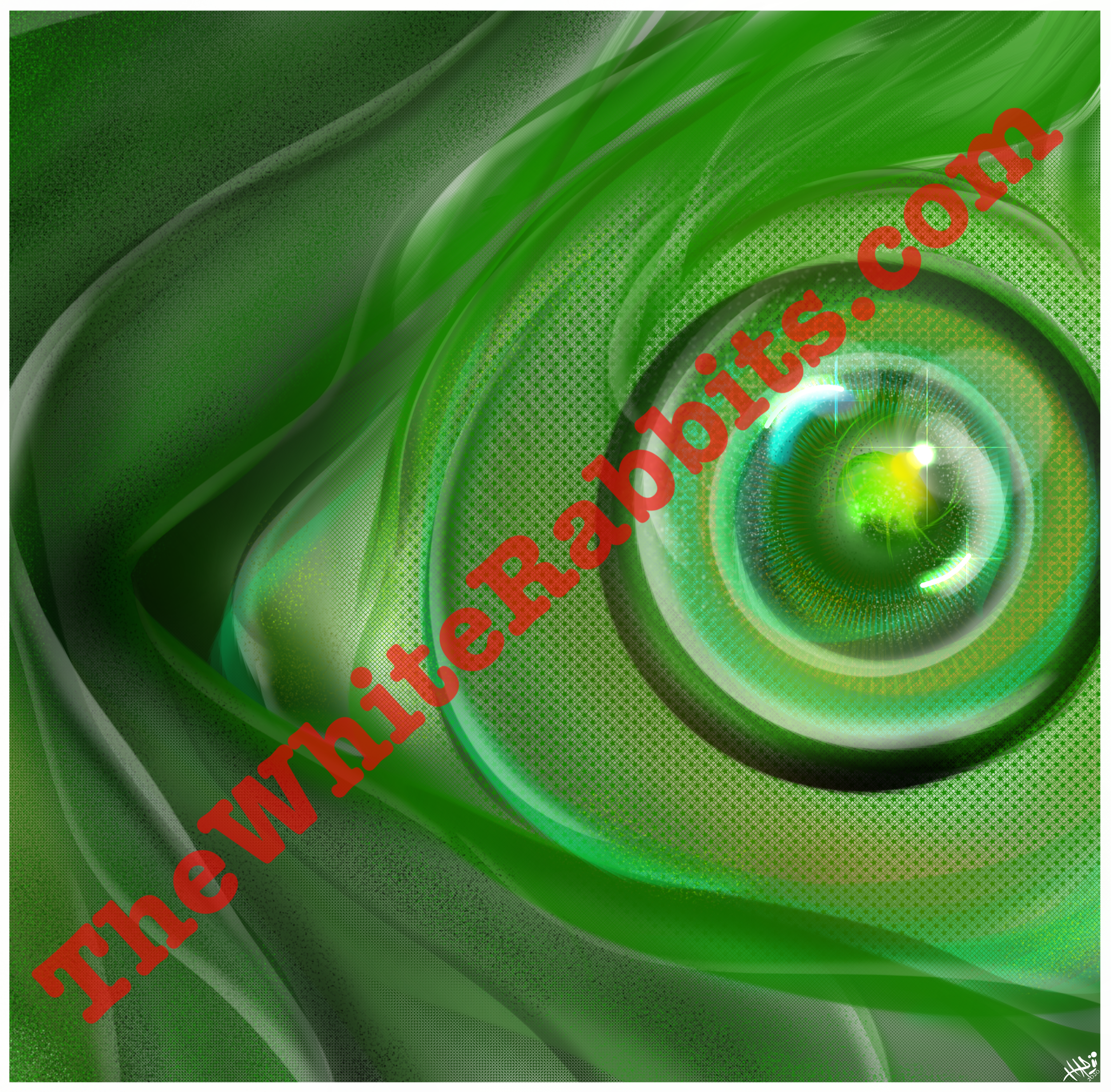 IMG_1424.png