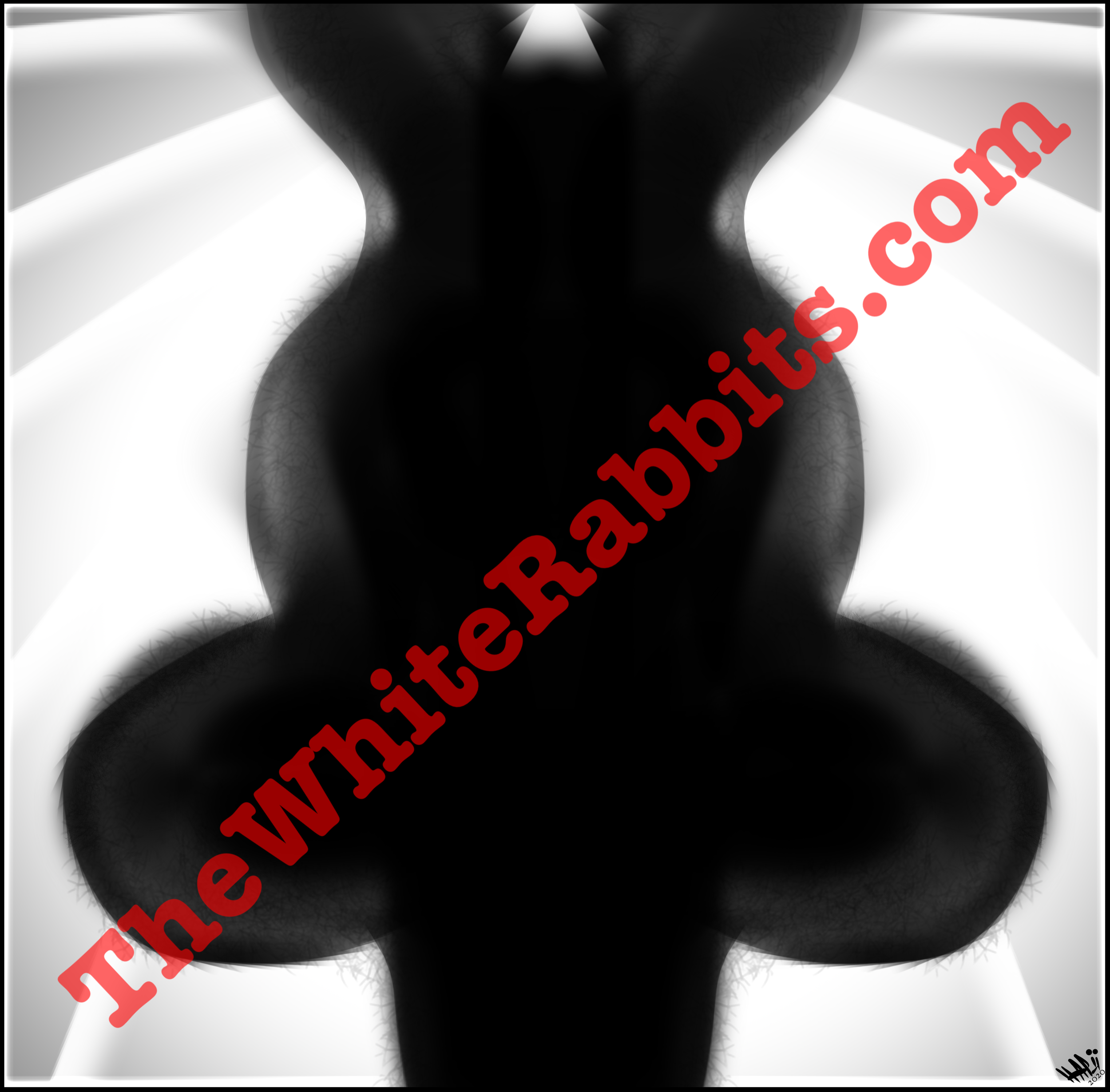 IMG_1430.png