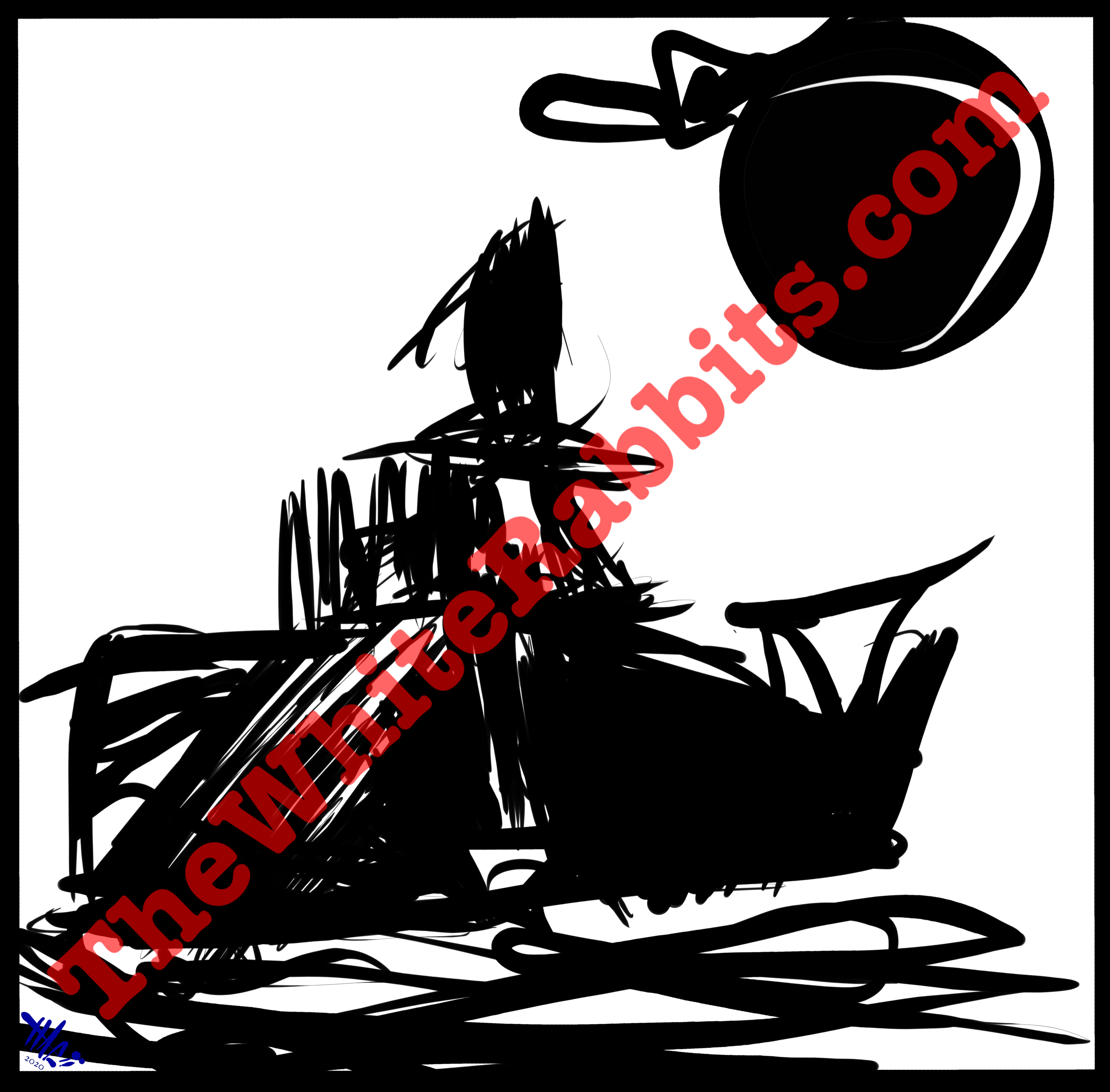 IMG_1427.png