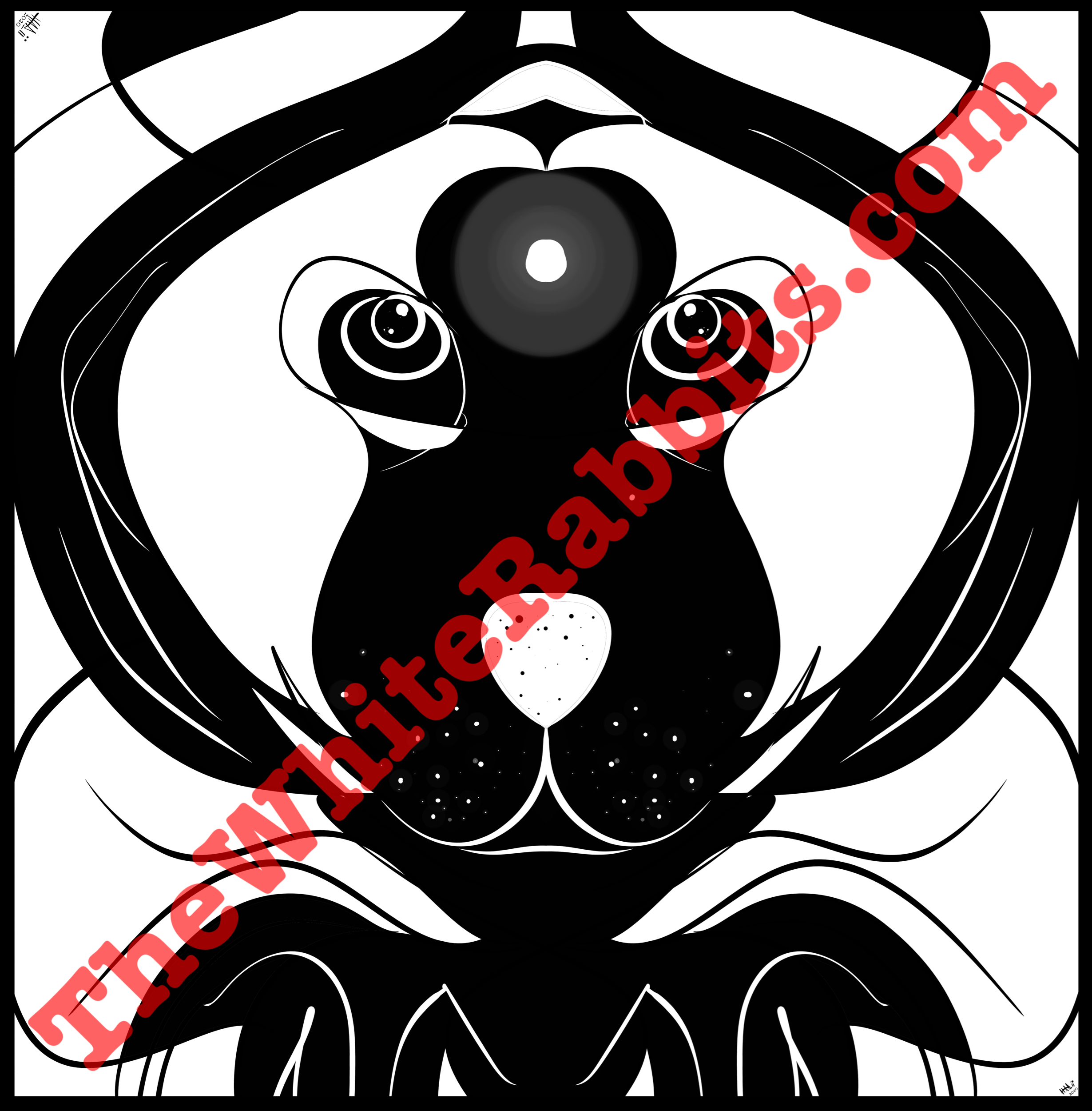 IMG_1397.png