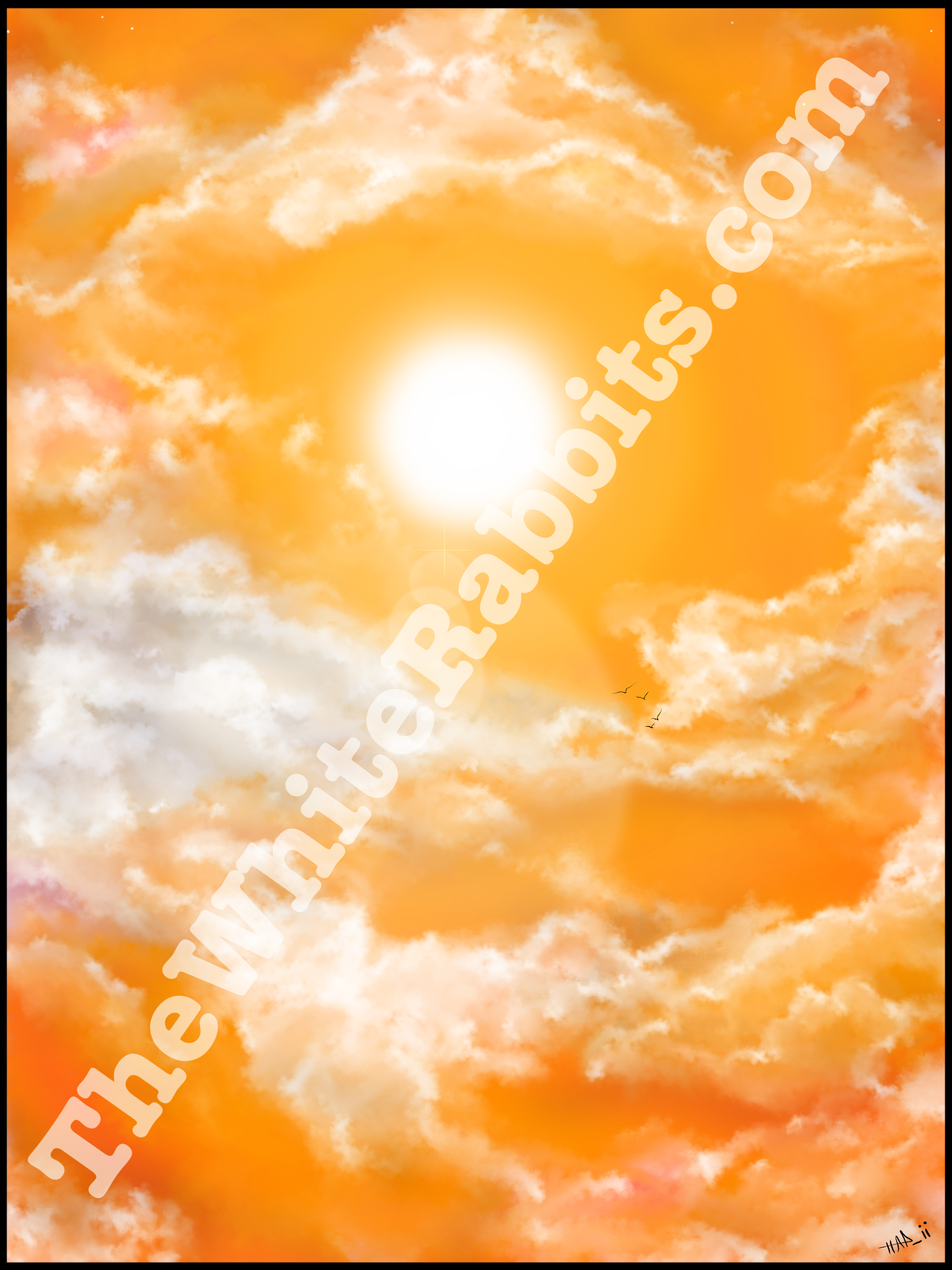 IMG_1365.png