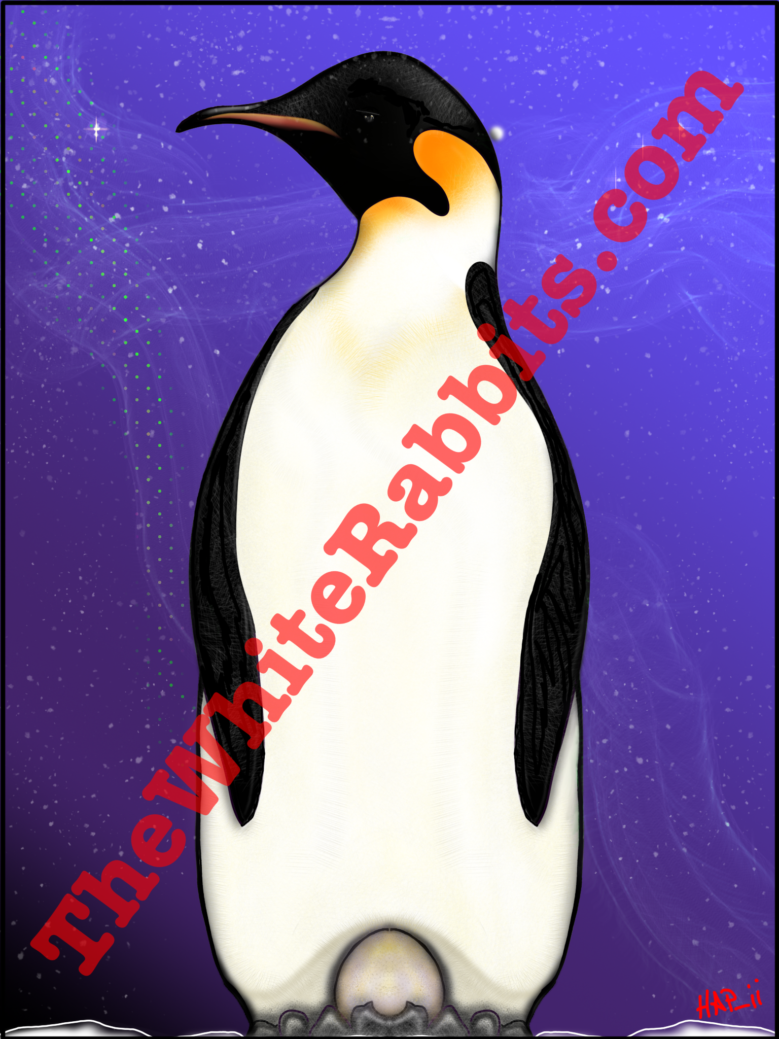 IMG_1481.png