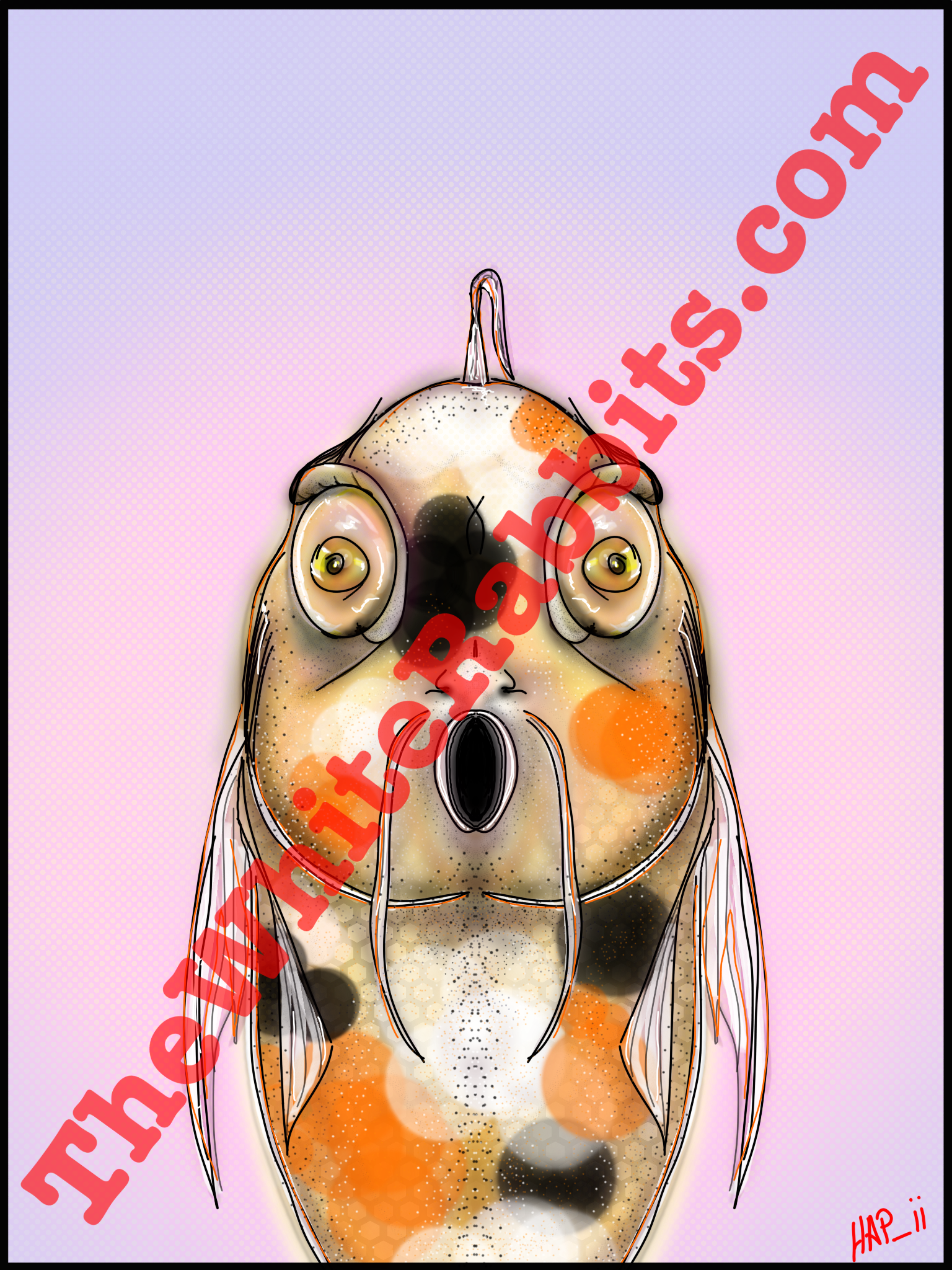 IMG_1355.png