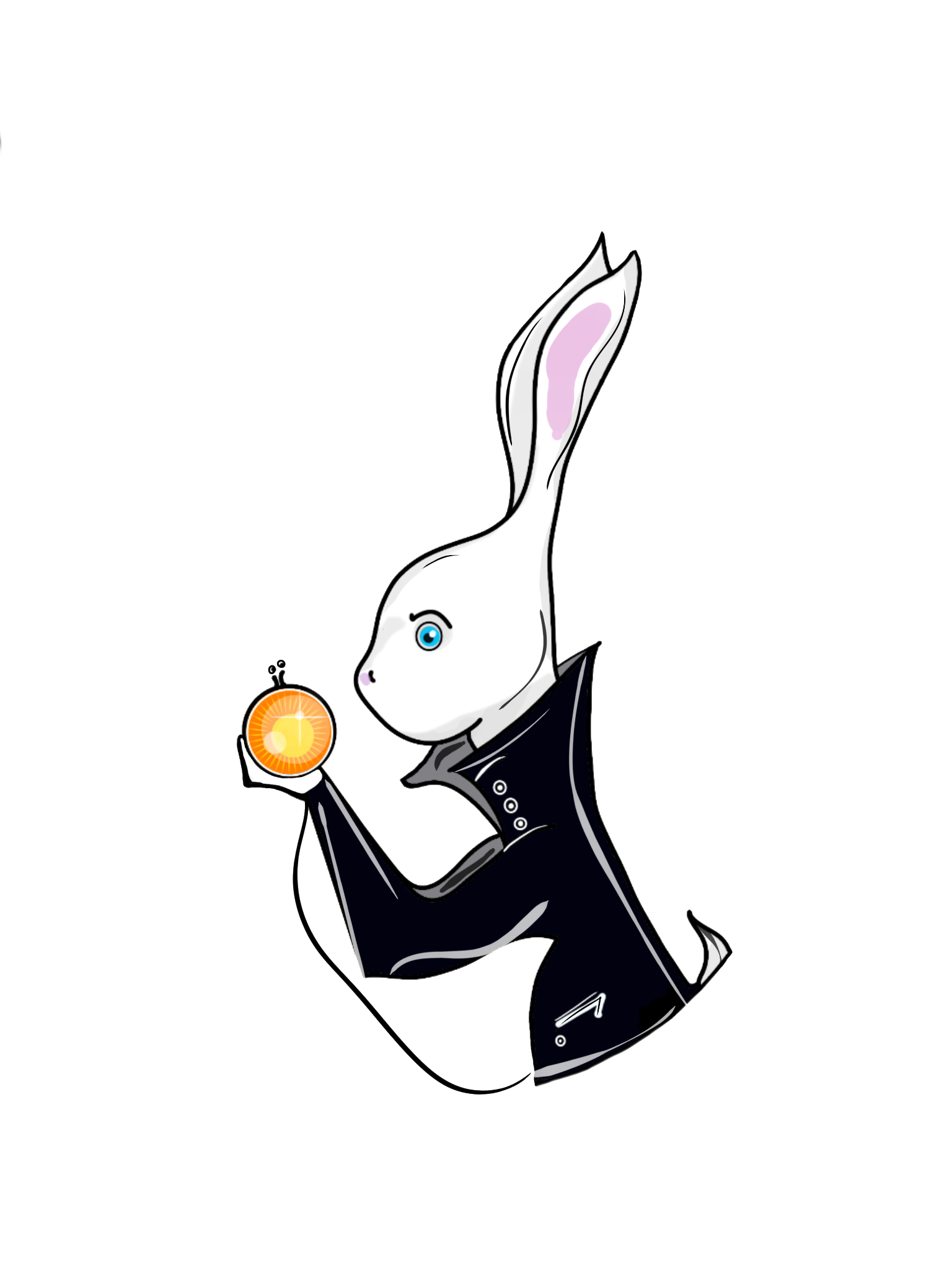 The White Rabbits Group LLC