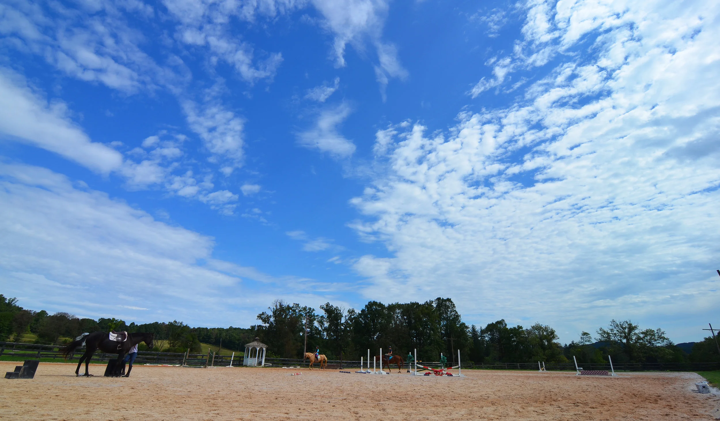 DSC_6070-2.jpg