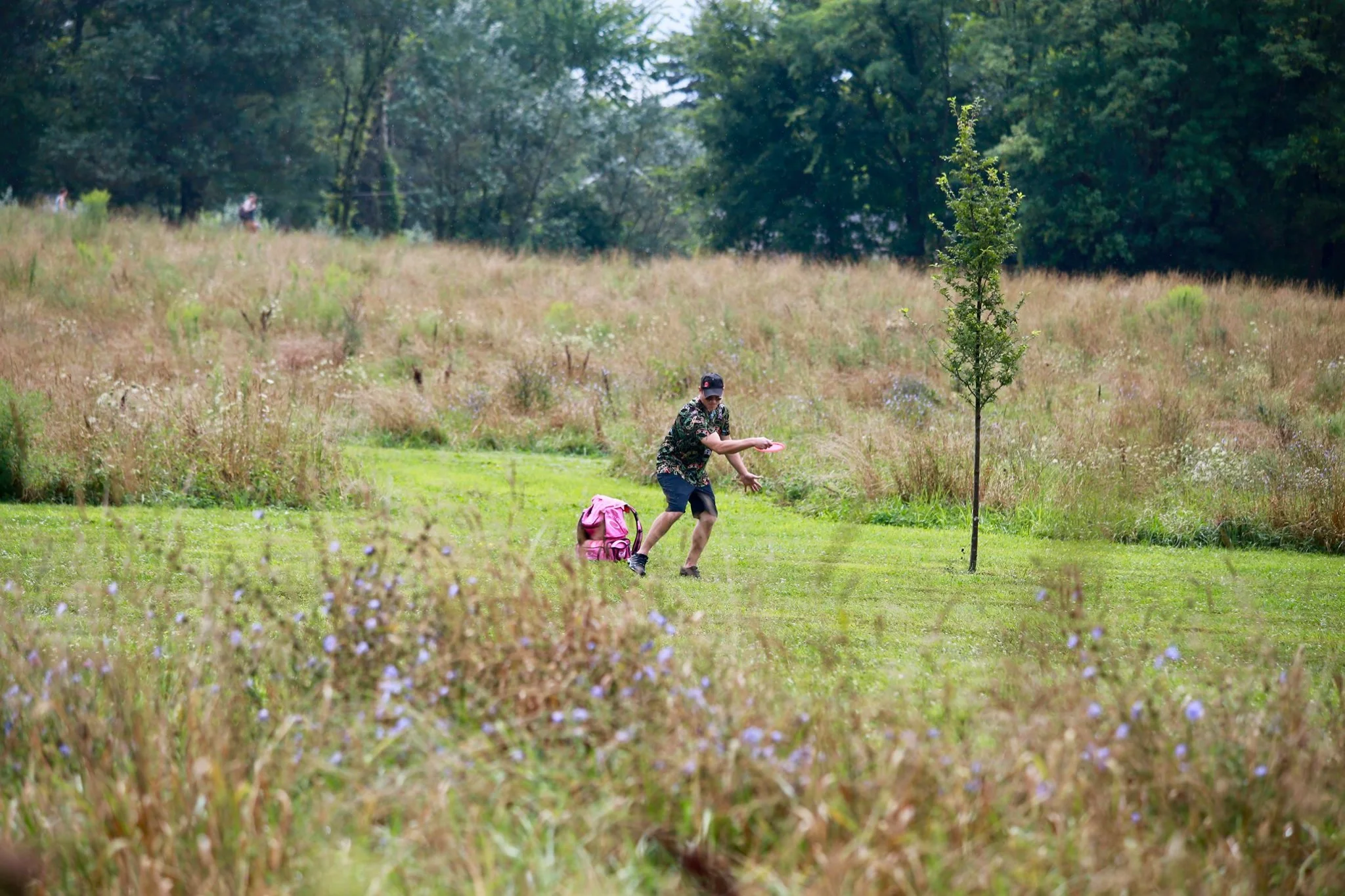 Media — Disc Golf Chicago