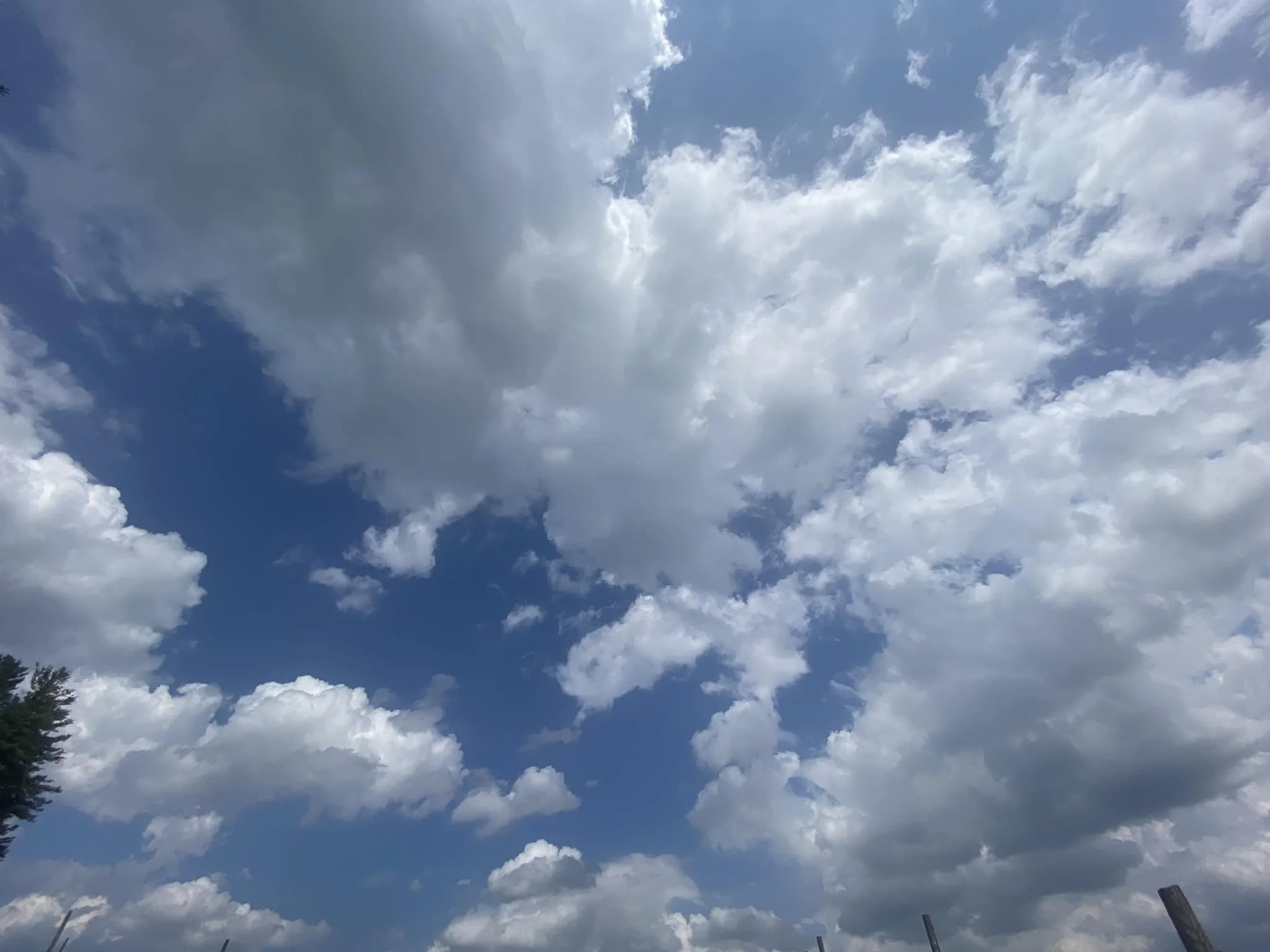 Lost in the Clouds of Confusion?