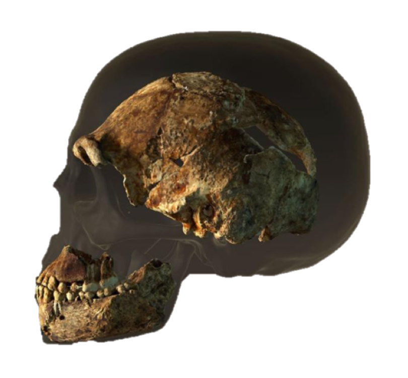 Picture1.png