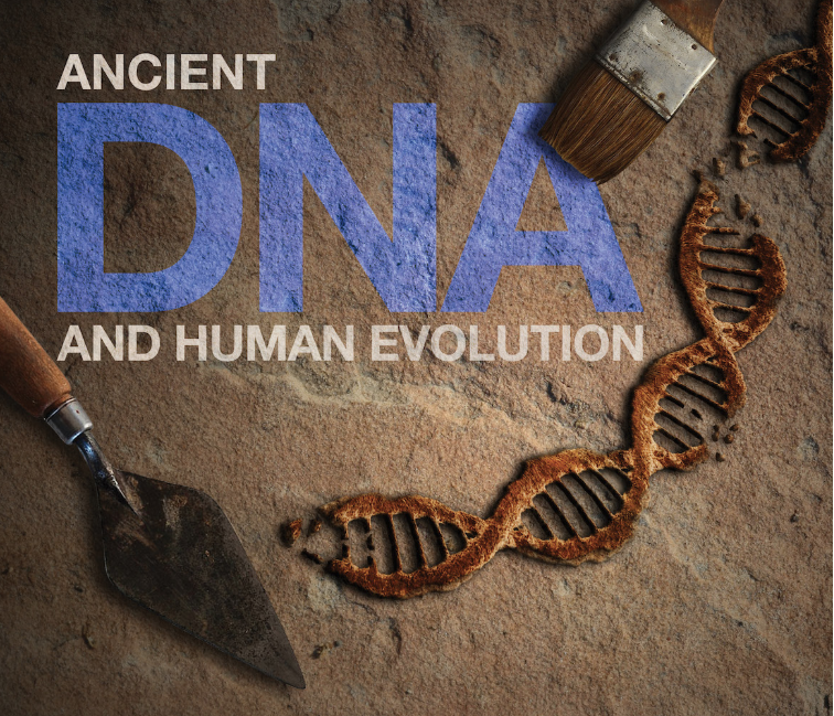 The most exciting, intriguing and controversial moments in science this year