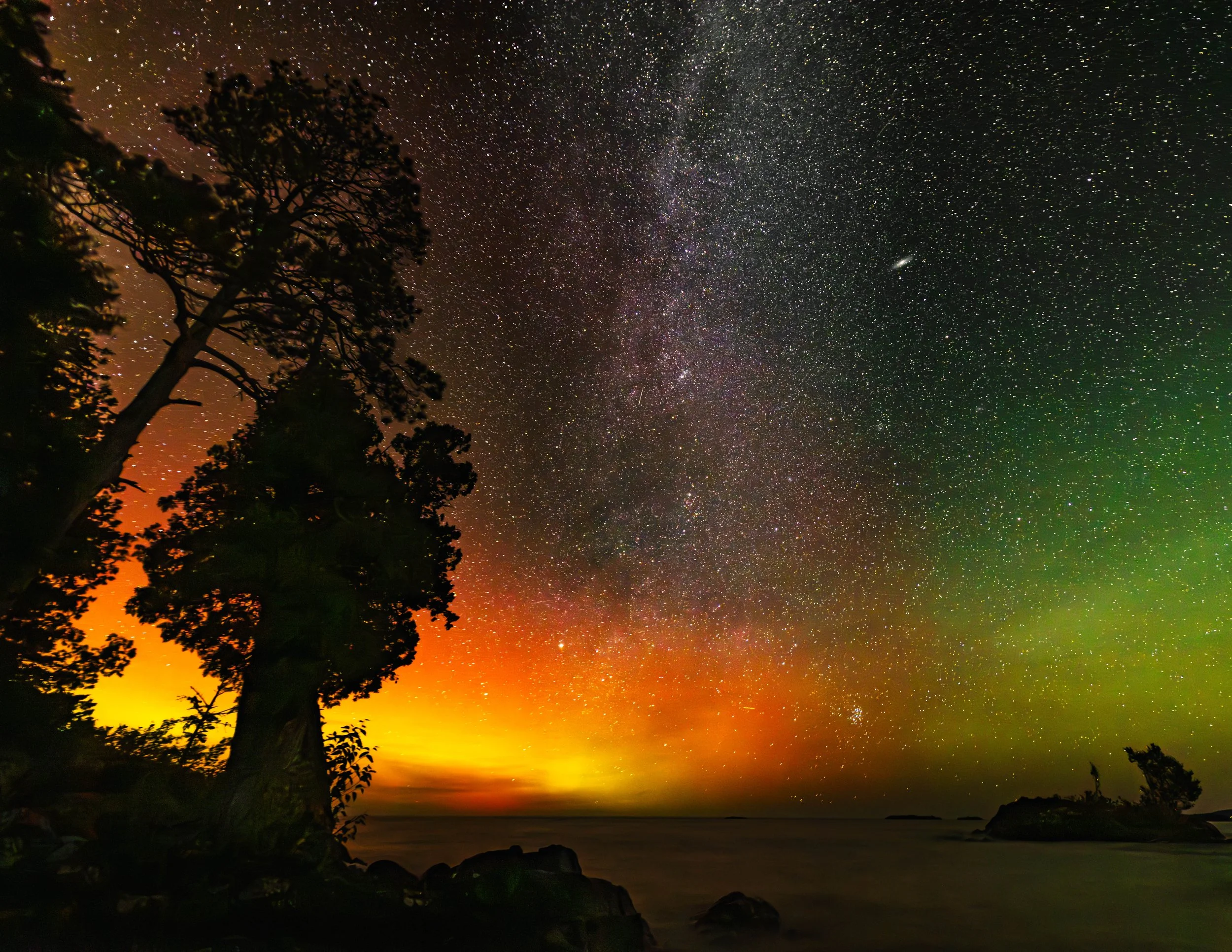 Ancient Roots, Infinite Skies