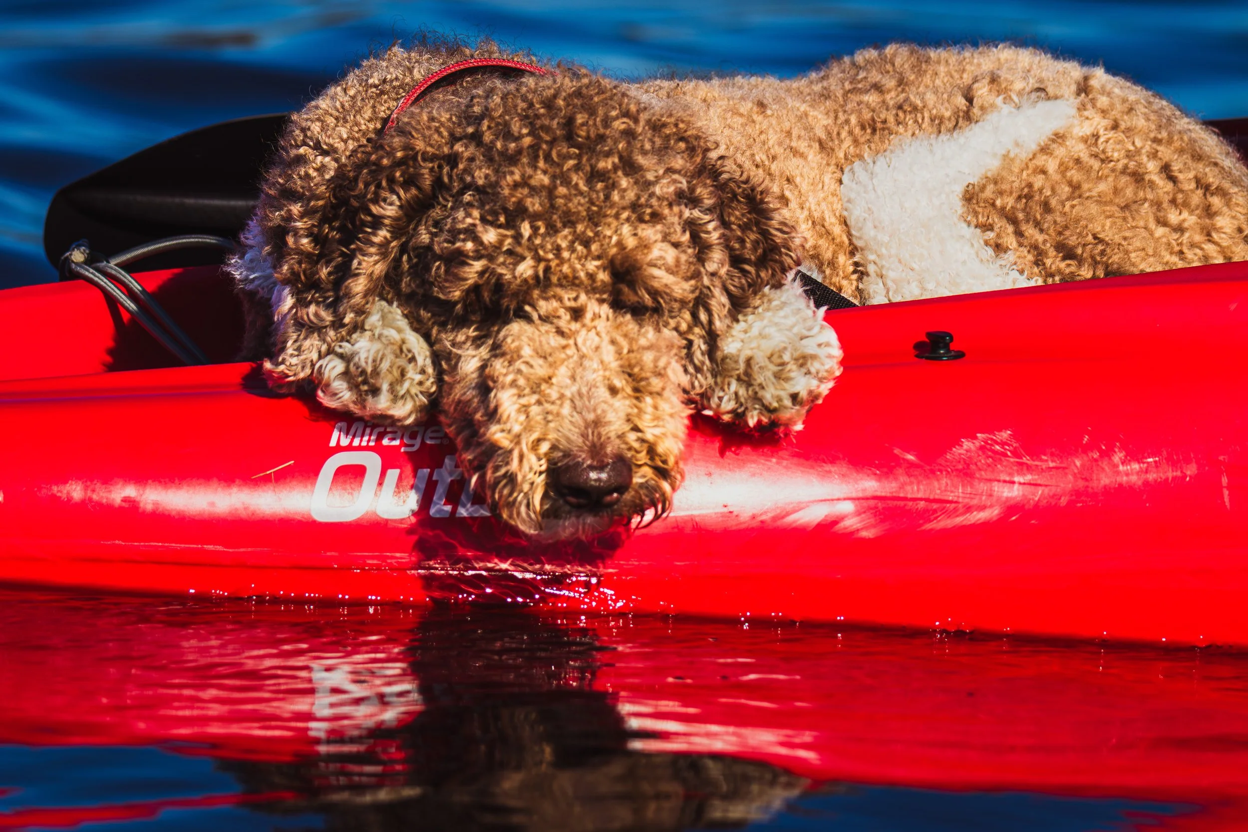 Relaxing Kayak Ride.jpg