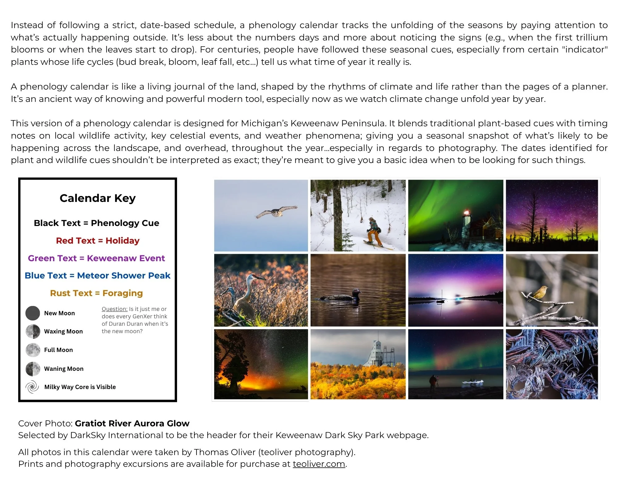 Back Cover.jpg