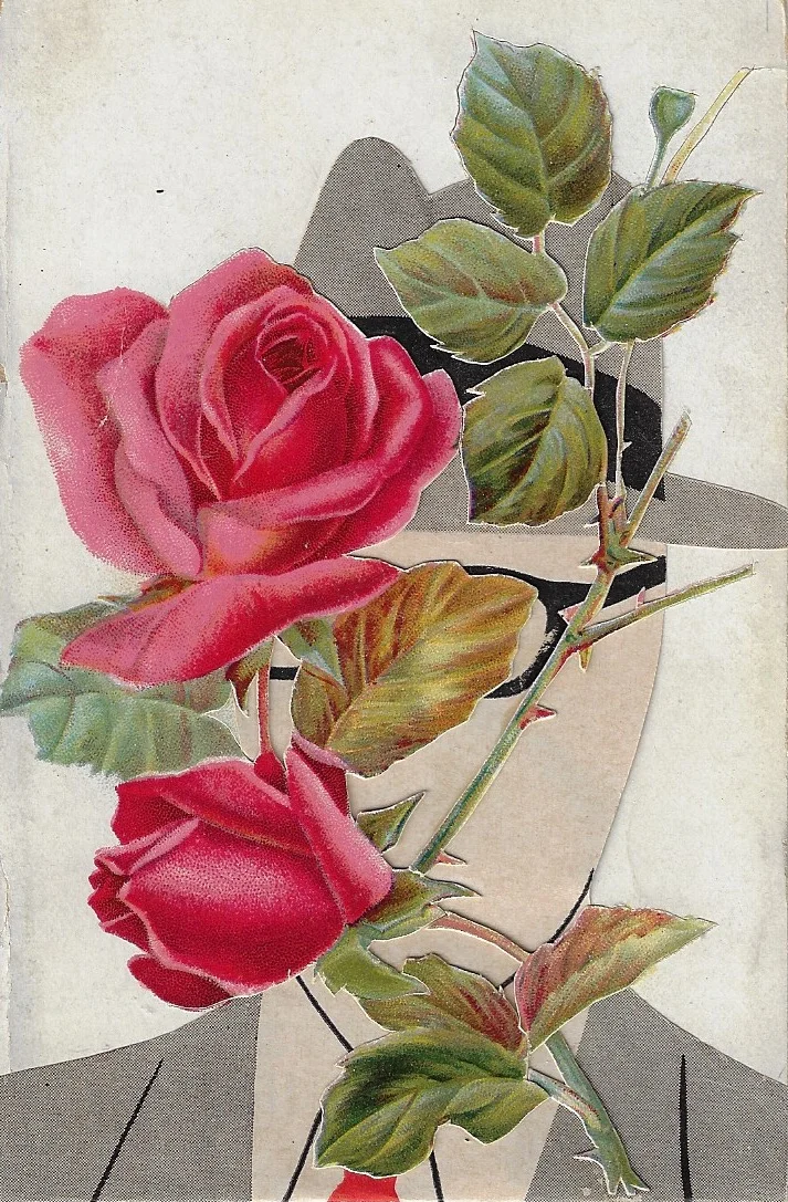 Creeping Roses.jpg