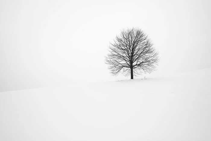 Clearing the Way for the New Year