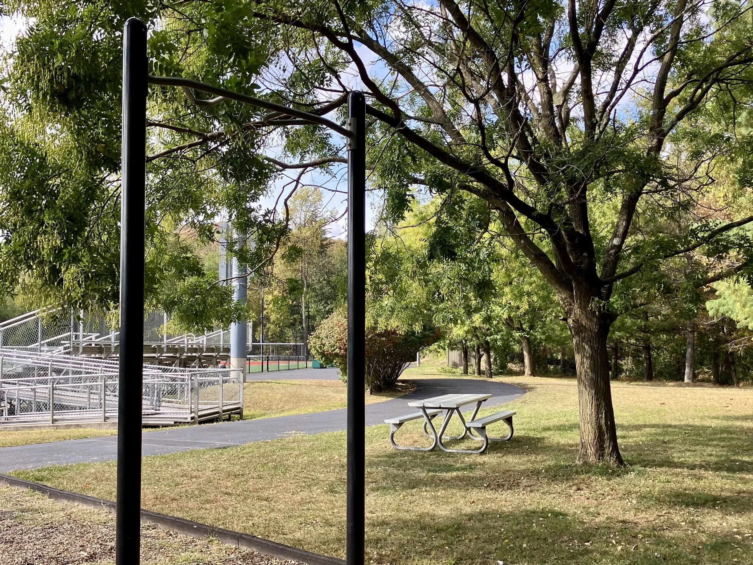Nature's Gym (Rewild Your Well-being, Part V)