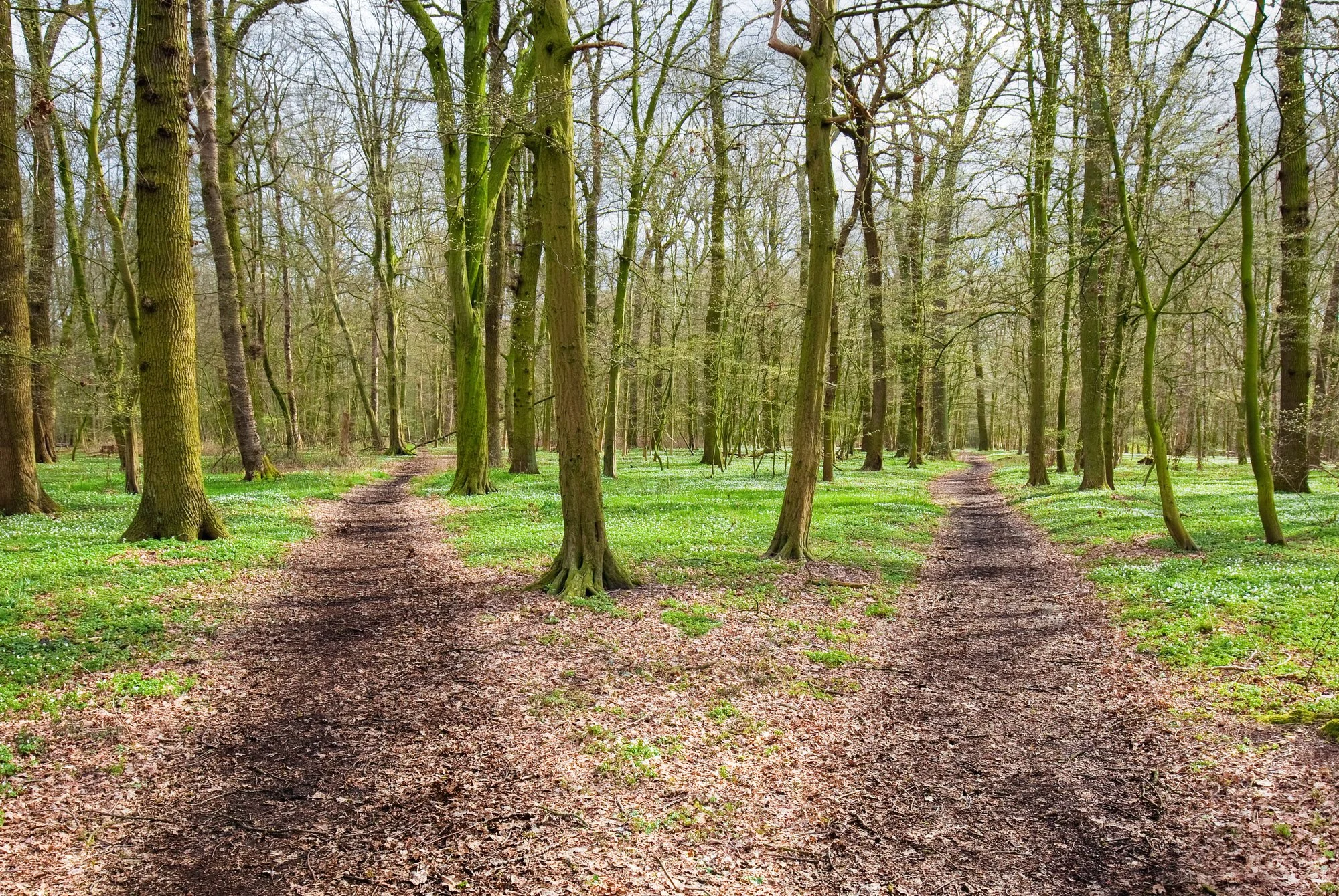 The Parallel Path Strategy: How to Explore Your Deepest Desires in Midlife