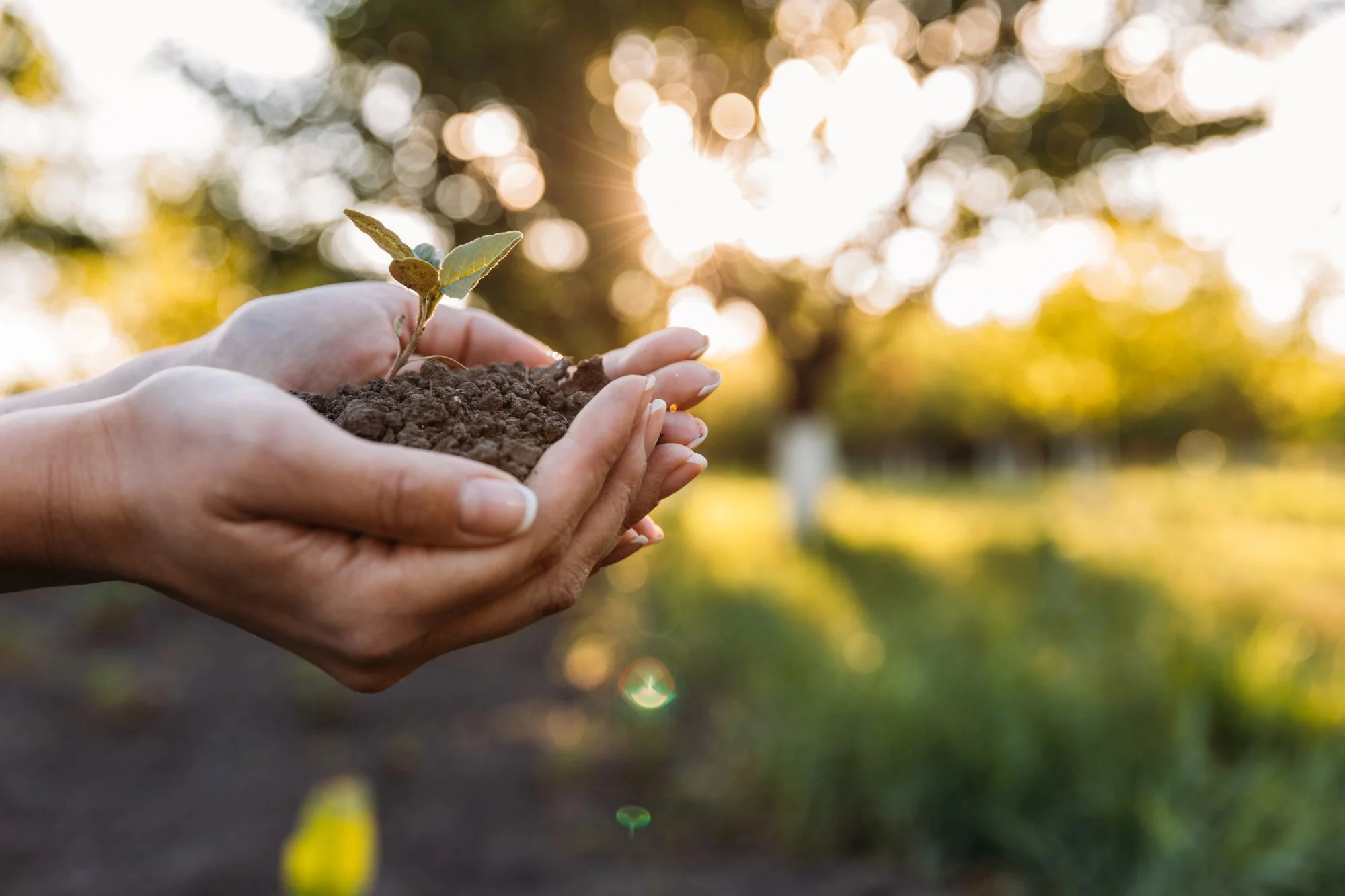Becoming the Steward of a Well-Tended Life