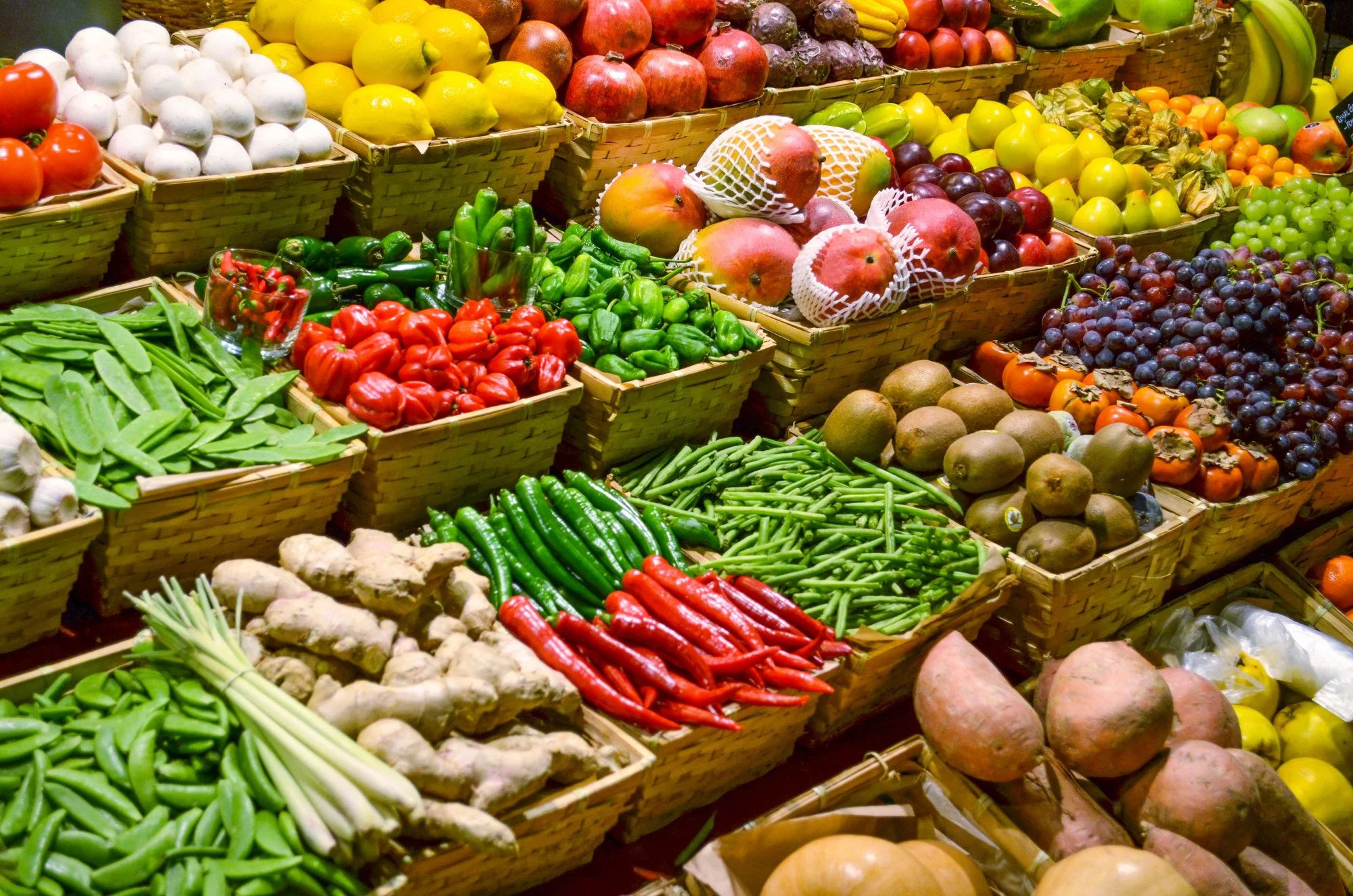 Fueling Longevity, Pt. I: The Philosophy of Intentional Nutrition
