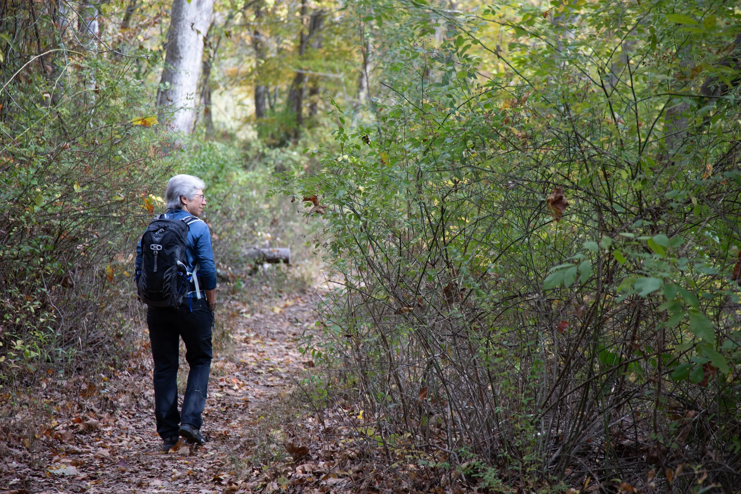 Walking Toward Your Future Self - May 2, 2026 Workshop