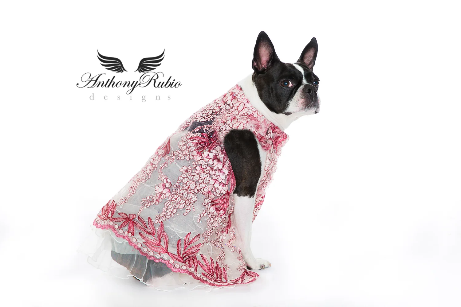 Anthony Rubio (5 of 21)October 19, 2017 new 700.jpg