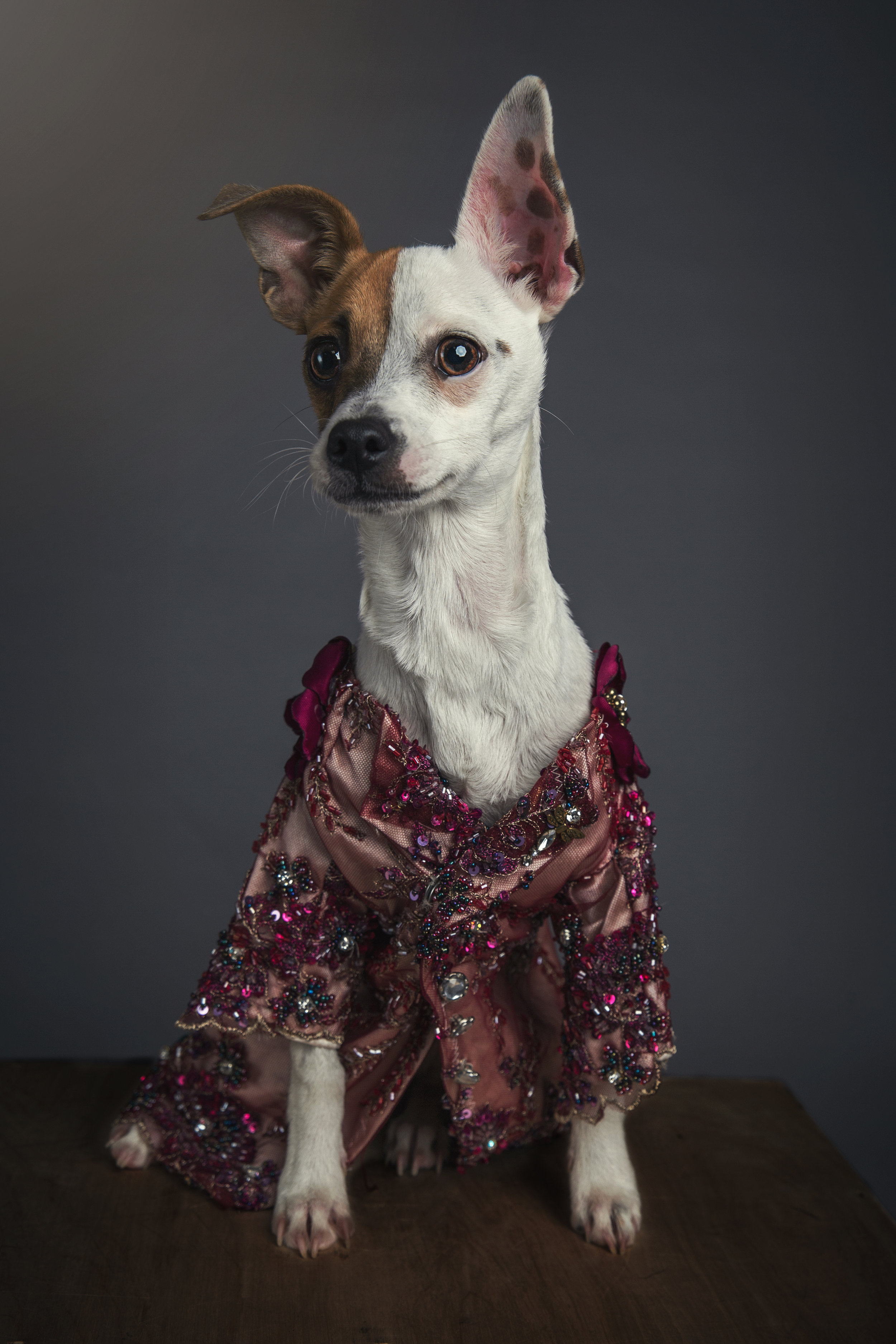 Anthony Rubio, Photo by Robin Hagy, 3P5A2395.jpg