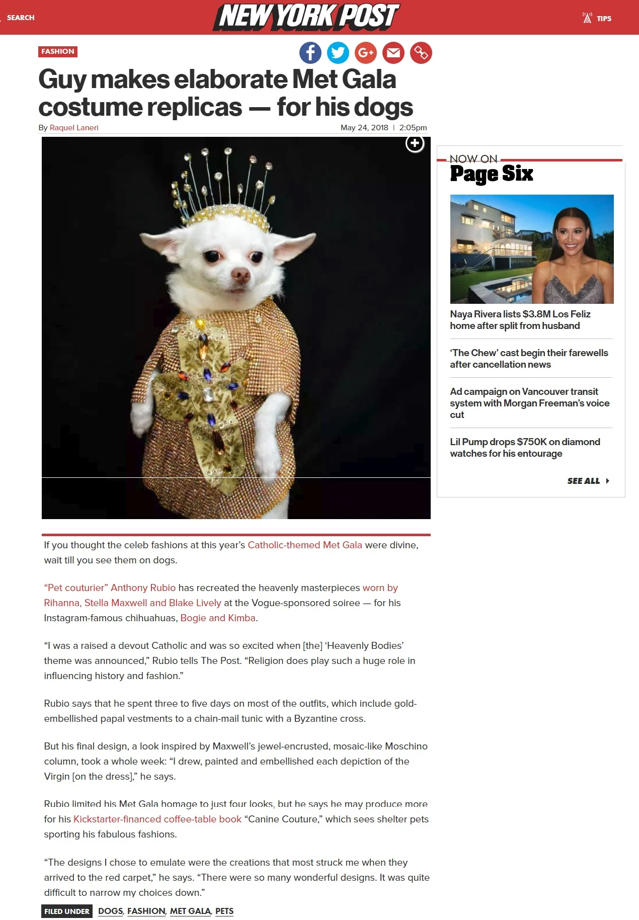 Anthony Rubio, Met Gala 2018, Heavenly Bodies, Dog Fashion,  DSC_5337 NEW press 00.jpg