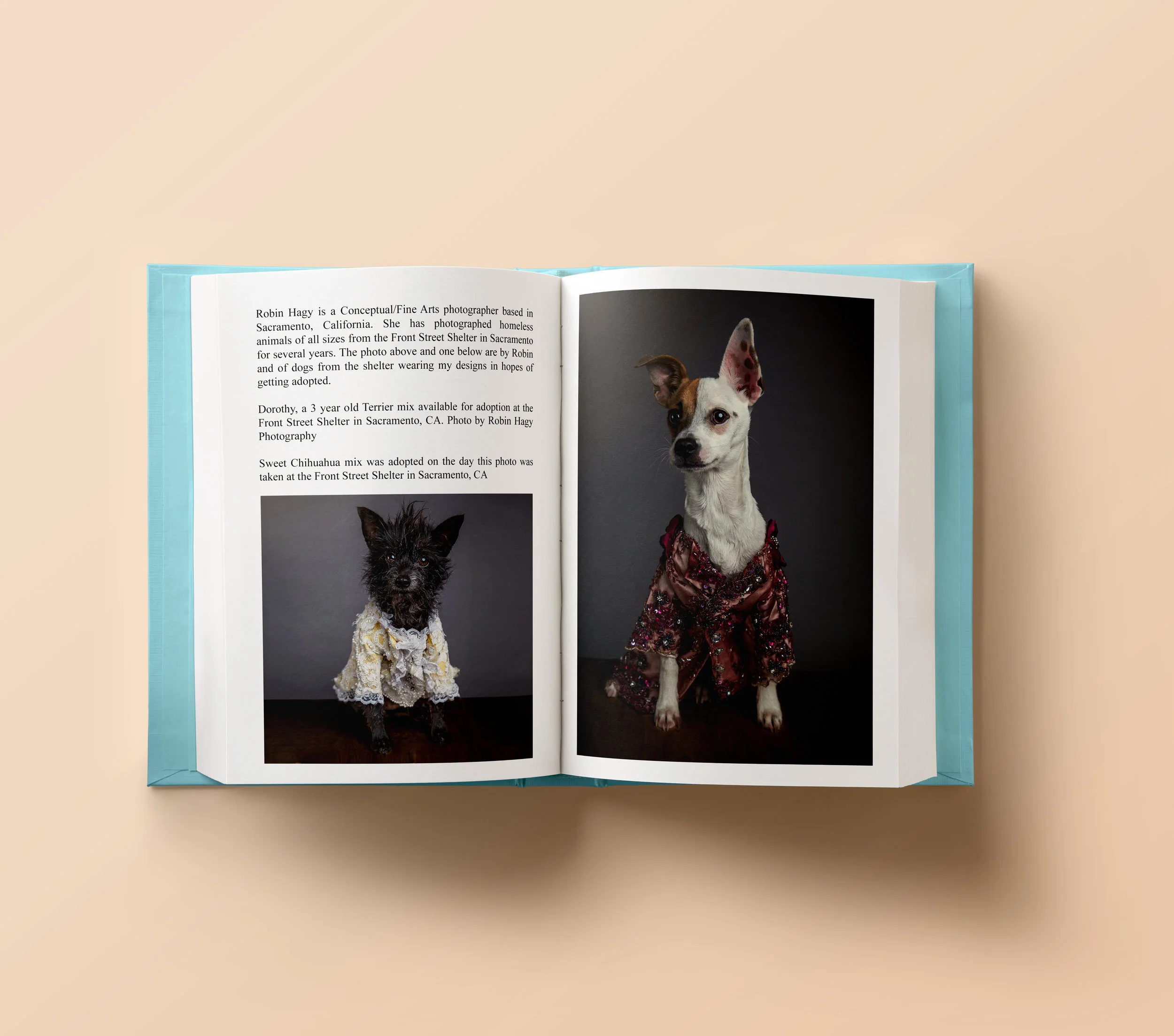 Third book.jpg
