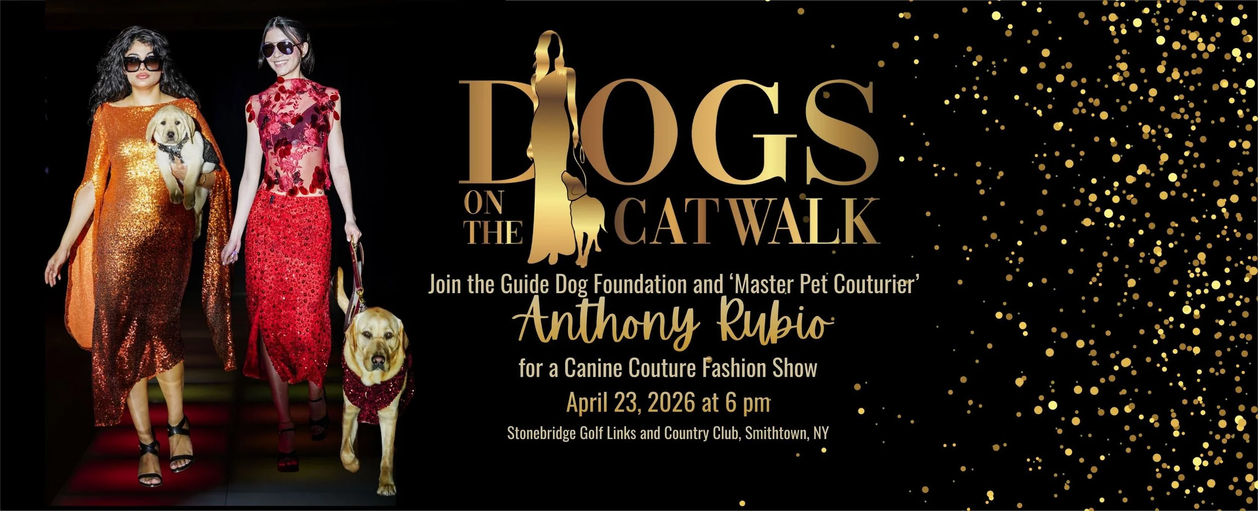2027 Dogs On The Catwalk