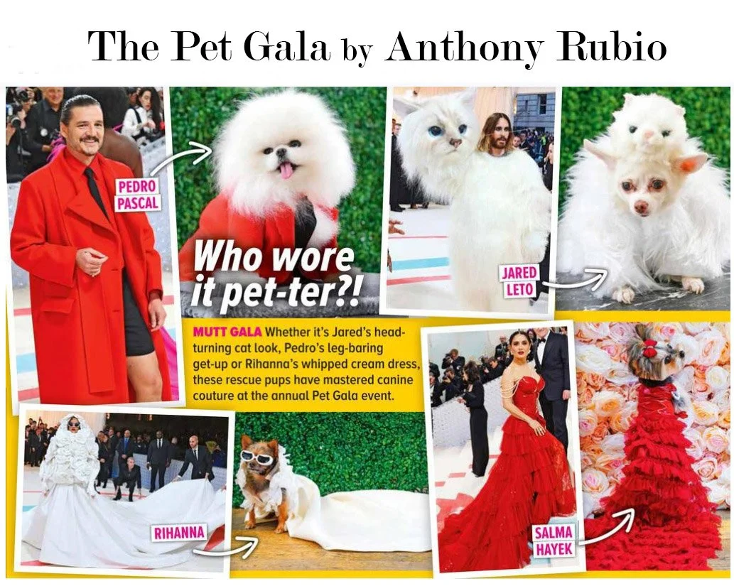 Anthony Rubio, The Pet Gala, Women's Day Magazine, n 21.jpg