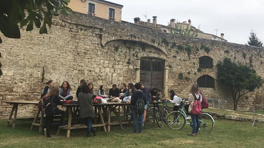 Contorns Acció Bòlit Mentor (1).jpg