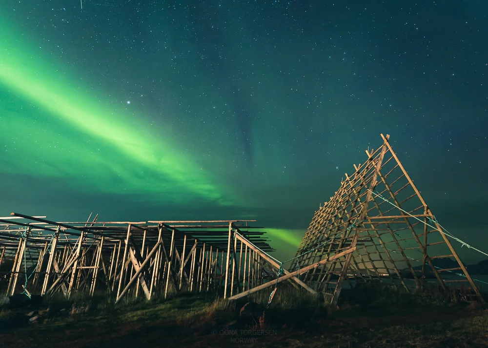 nordlys_-3036.jpg