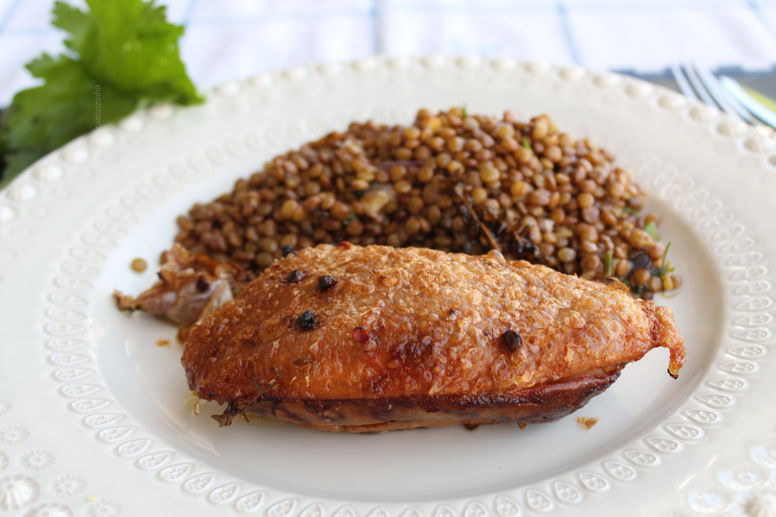 Peitos de Pato Confitados com Salada de Lentilhas