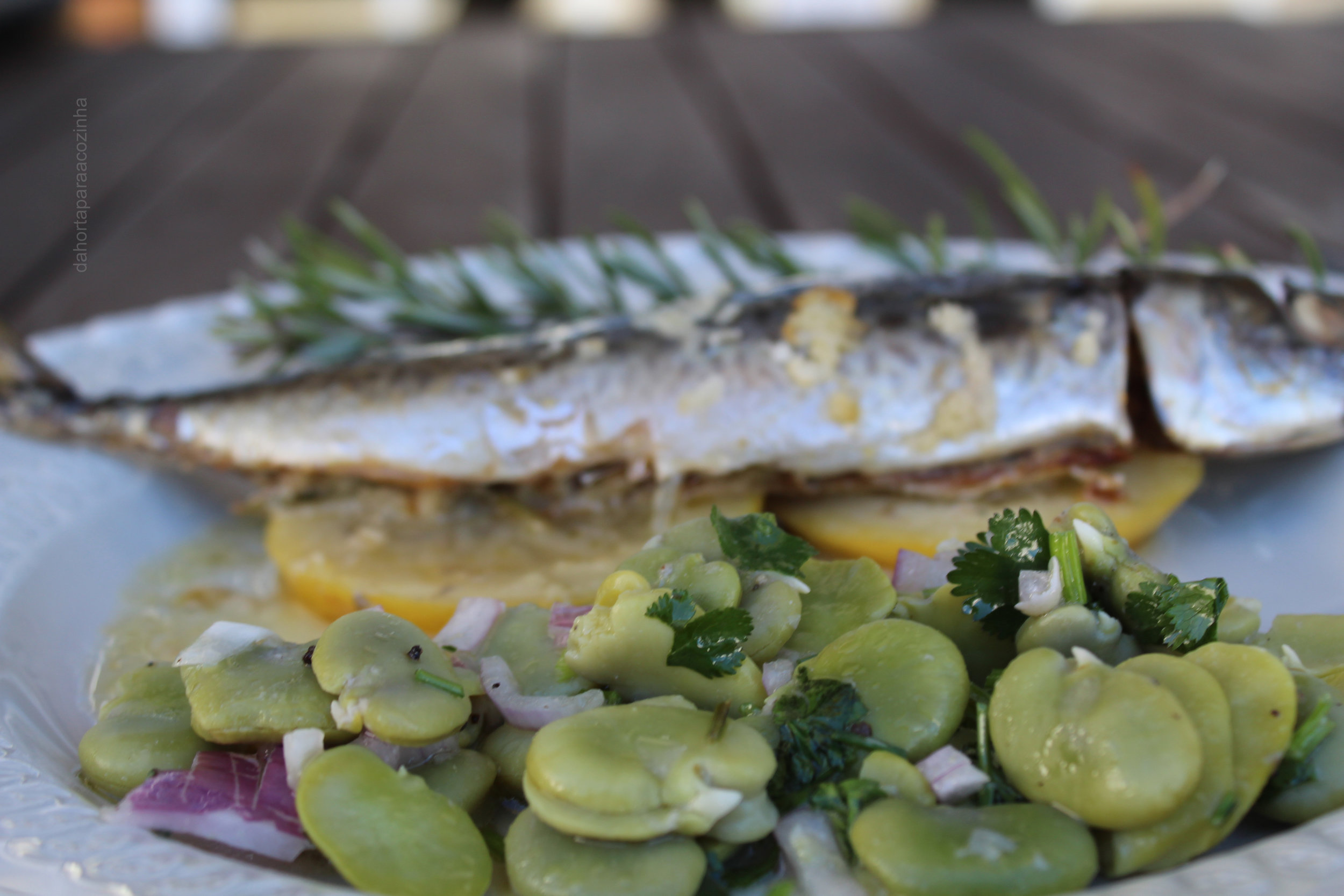 Cavalas em Papelotes com Ervas Aromáticas