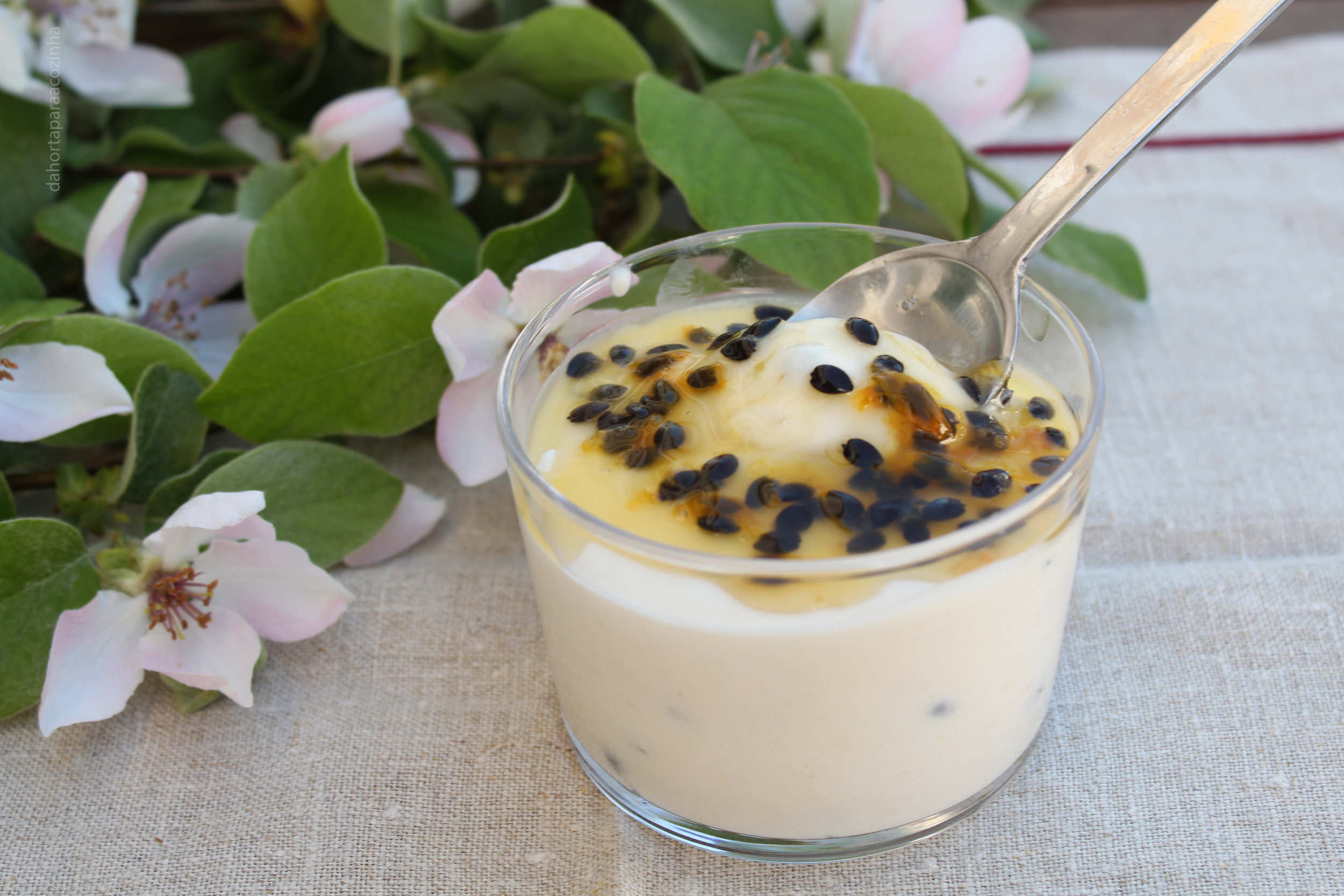 Mousse de Maracujá