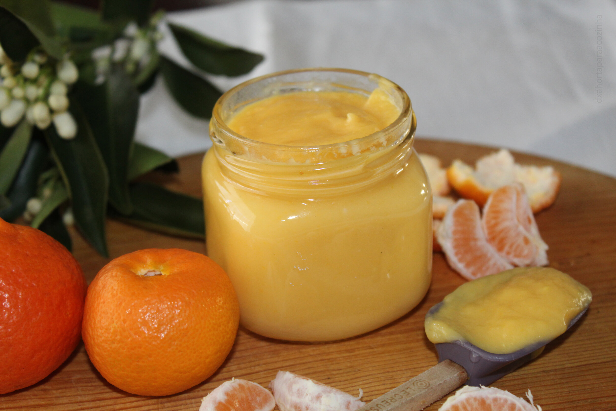 Clementine 'Curd
