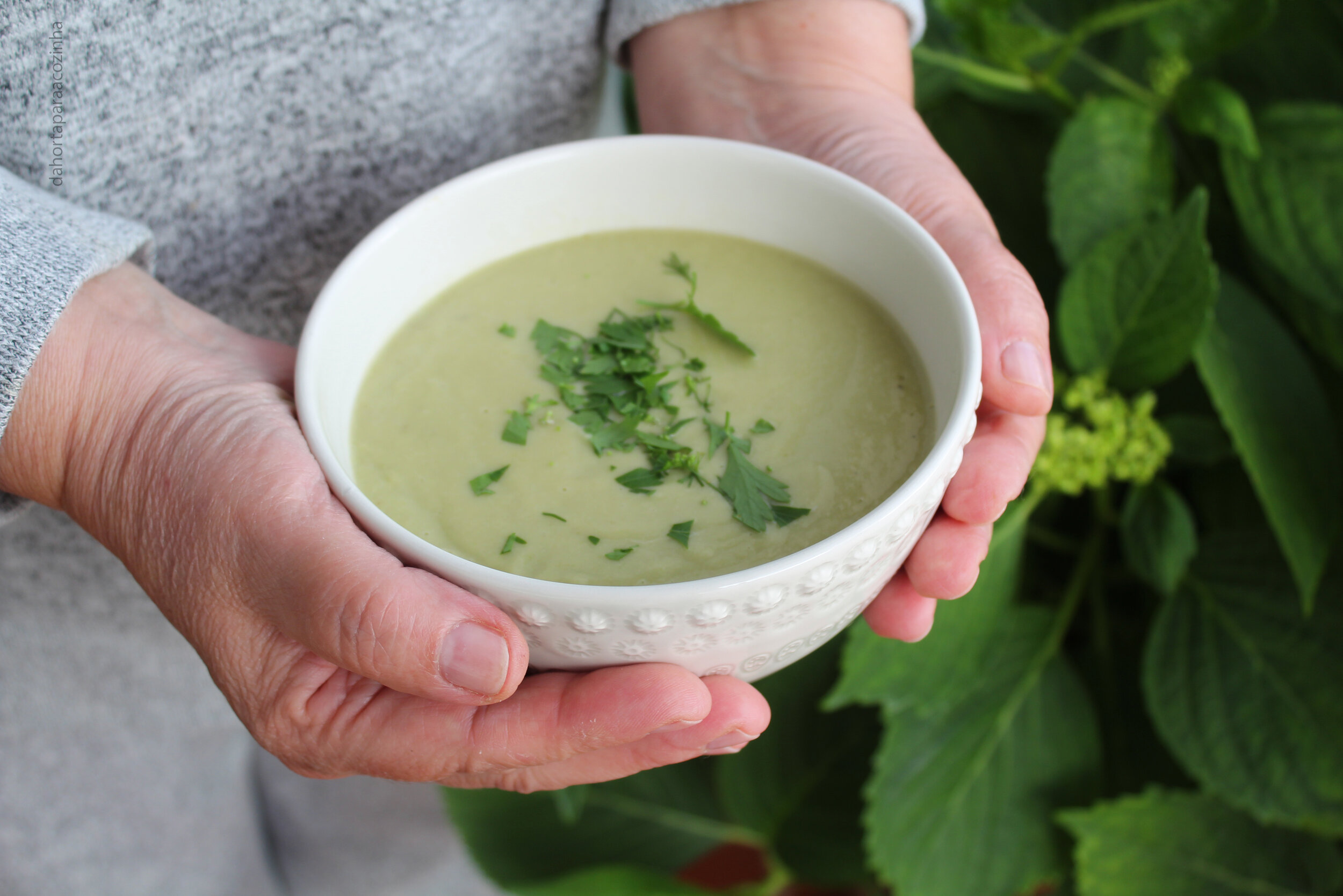 Puré (Sopa) de Favas com Aipo