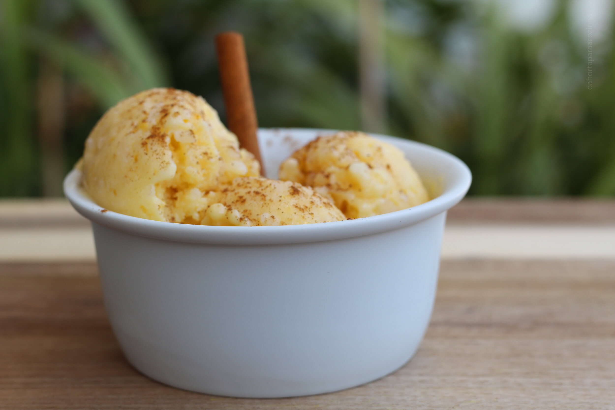 Gelado de Arroz Doce