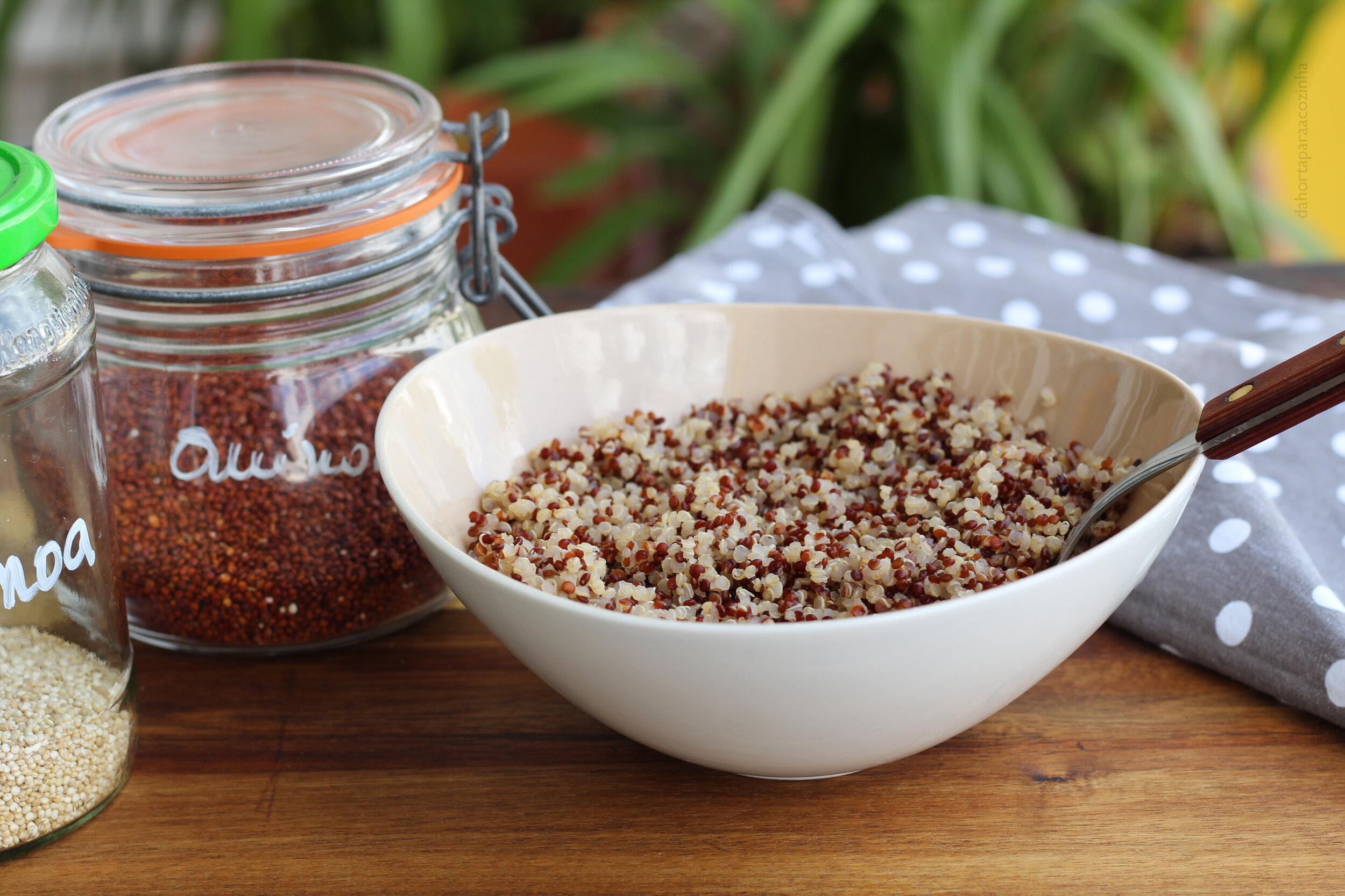 Dicas de Culinária - Como Cozer Quinoa