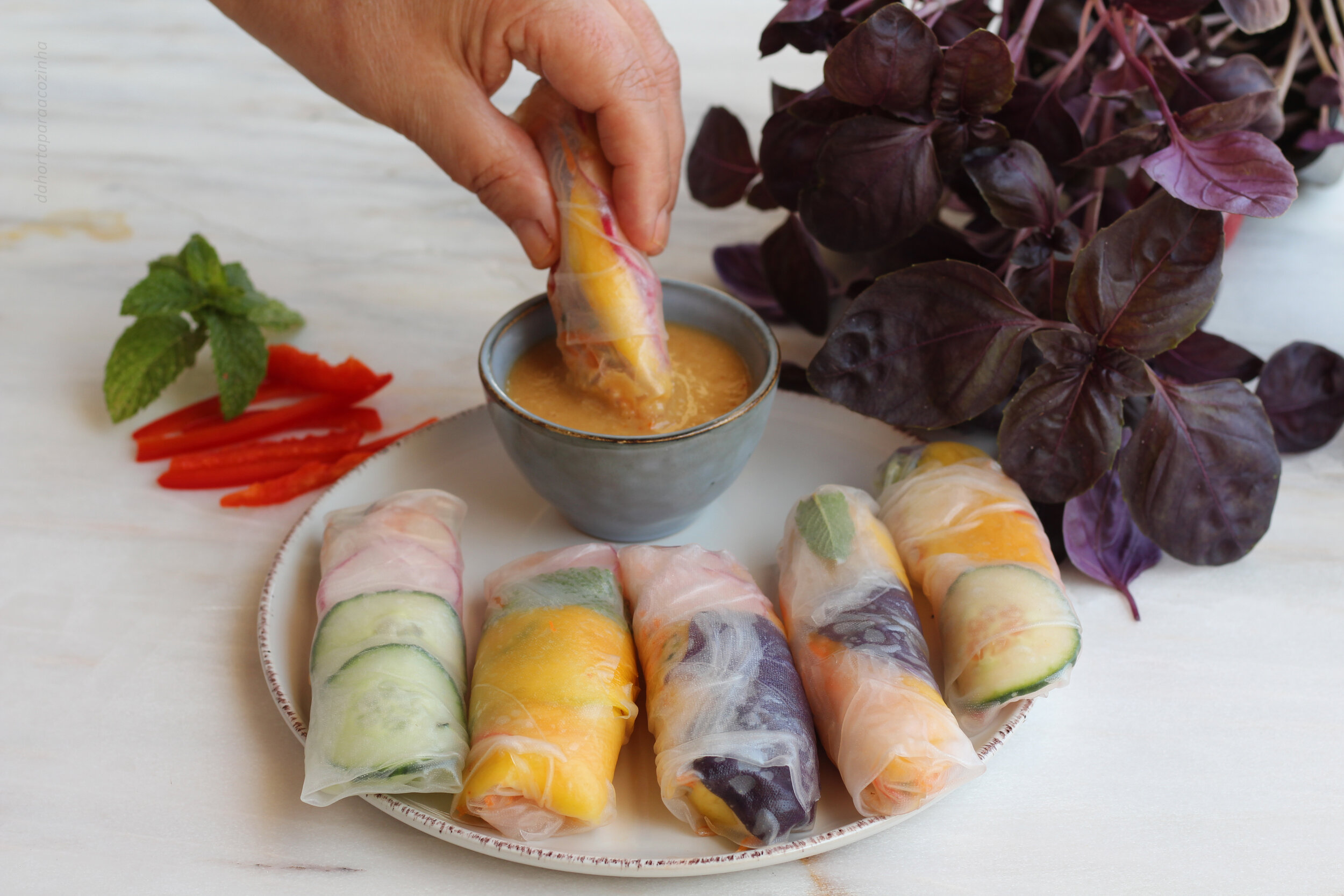 "Spring Rolls"