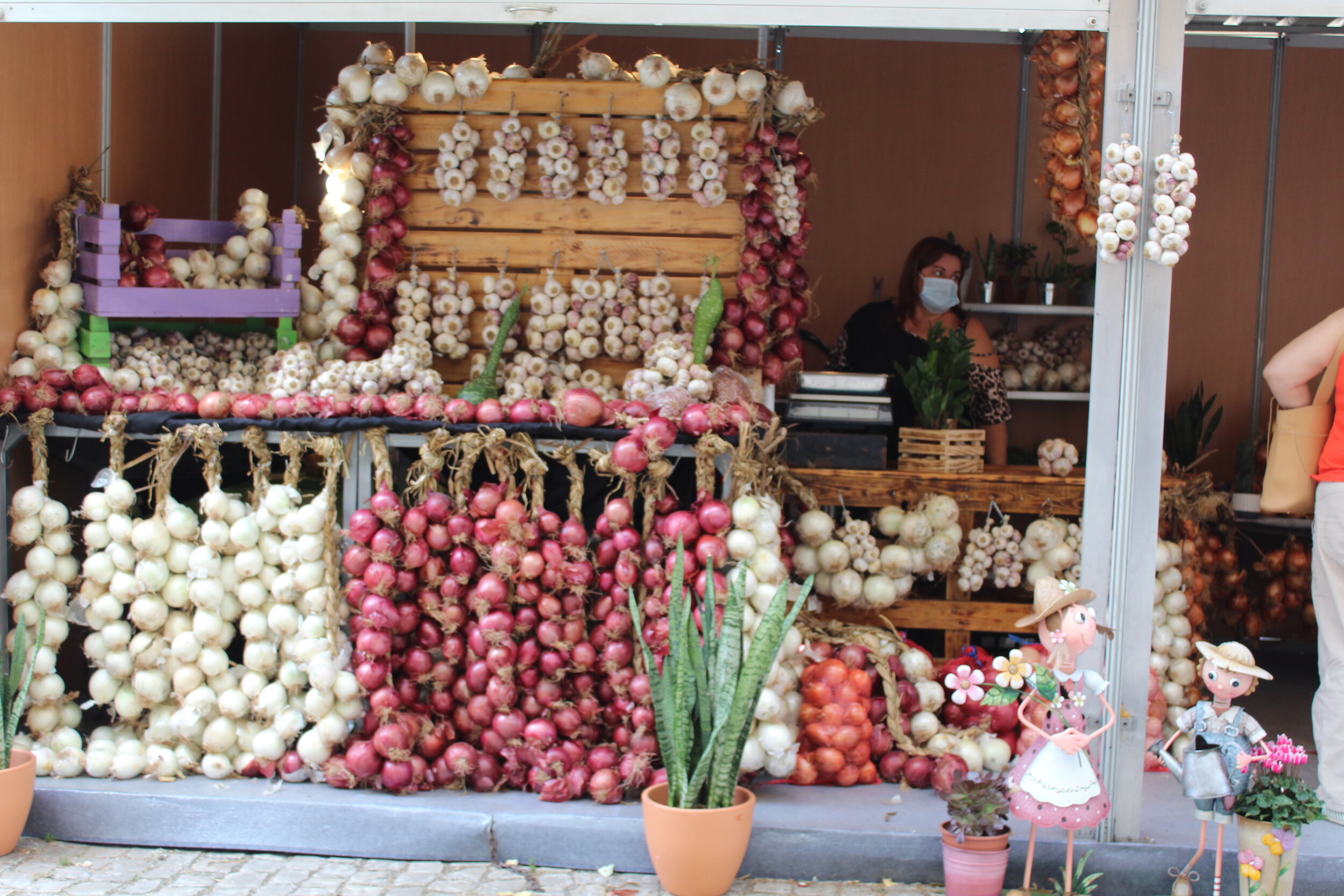Como Usar os Vários Tipos de Cebolas