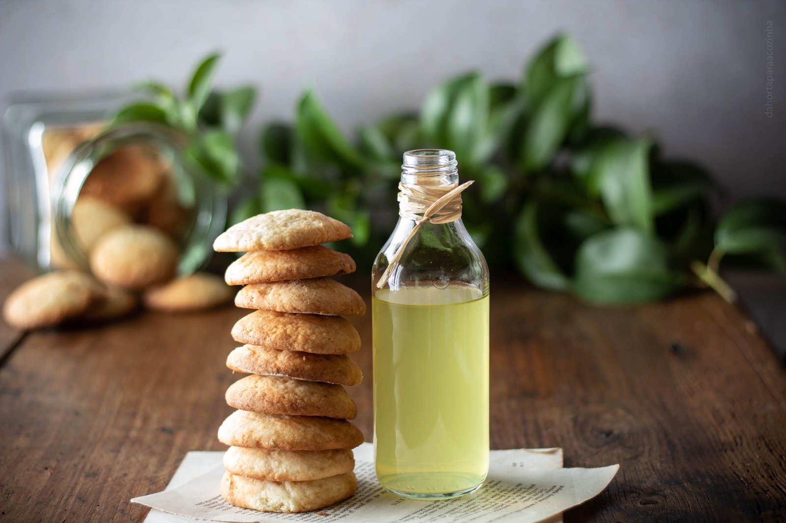 Bolachas de Limoncello