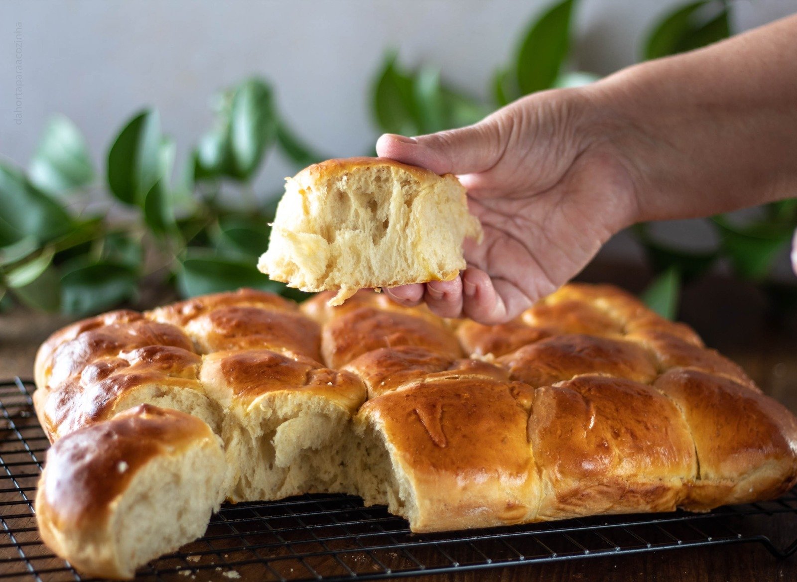 Brioche de Tabuleiro